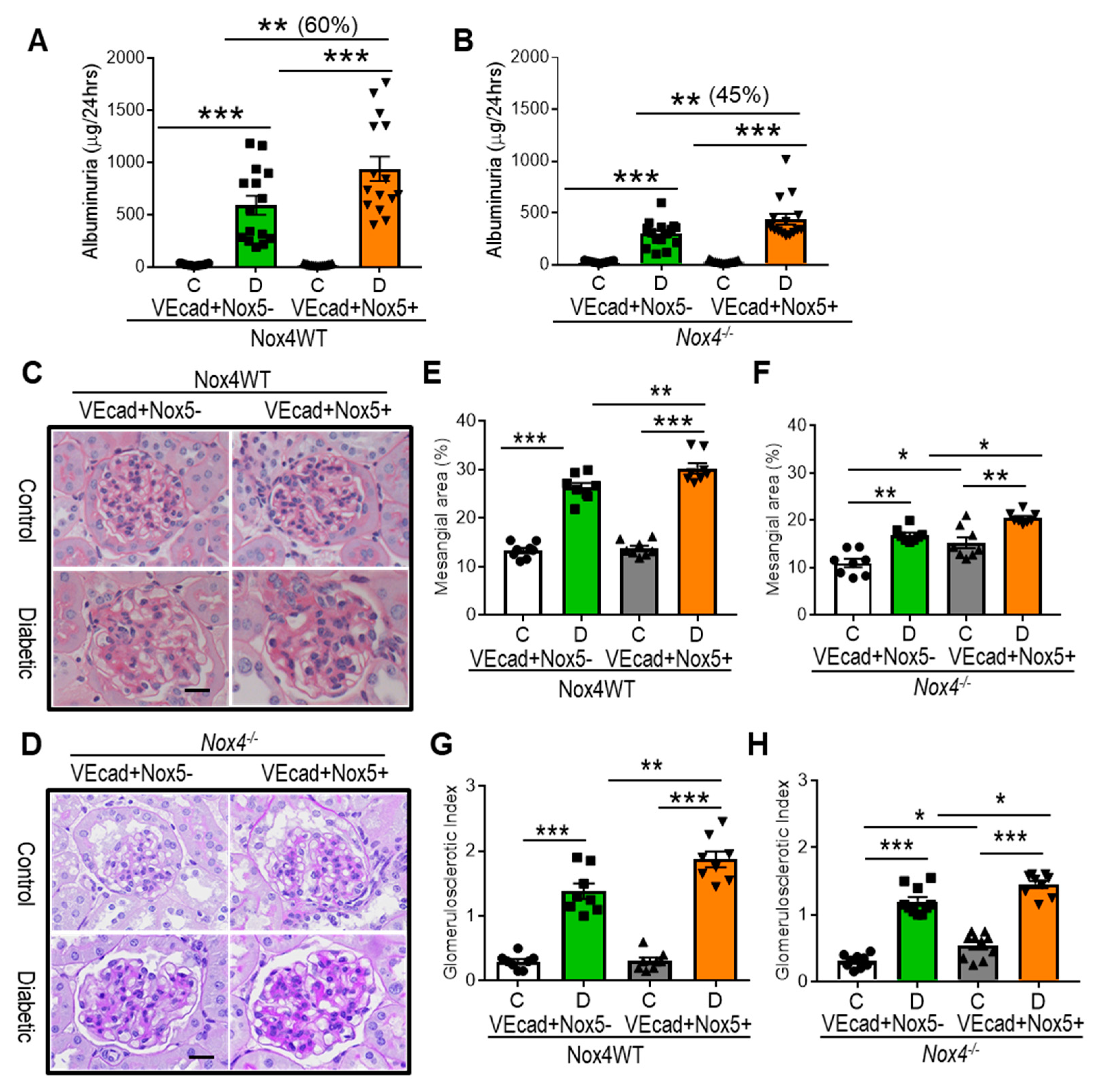 Antioxidants 13 00396 g001
