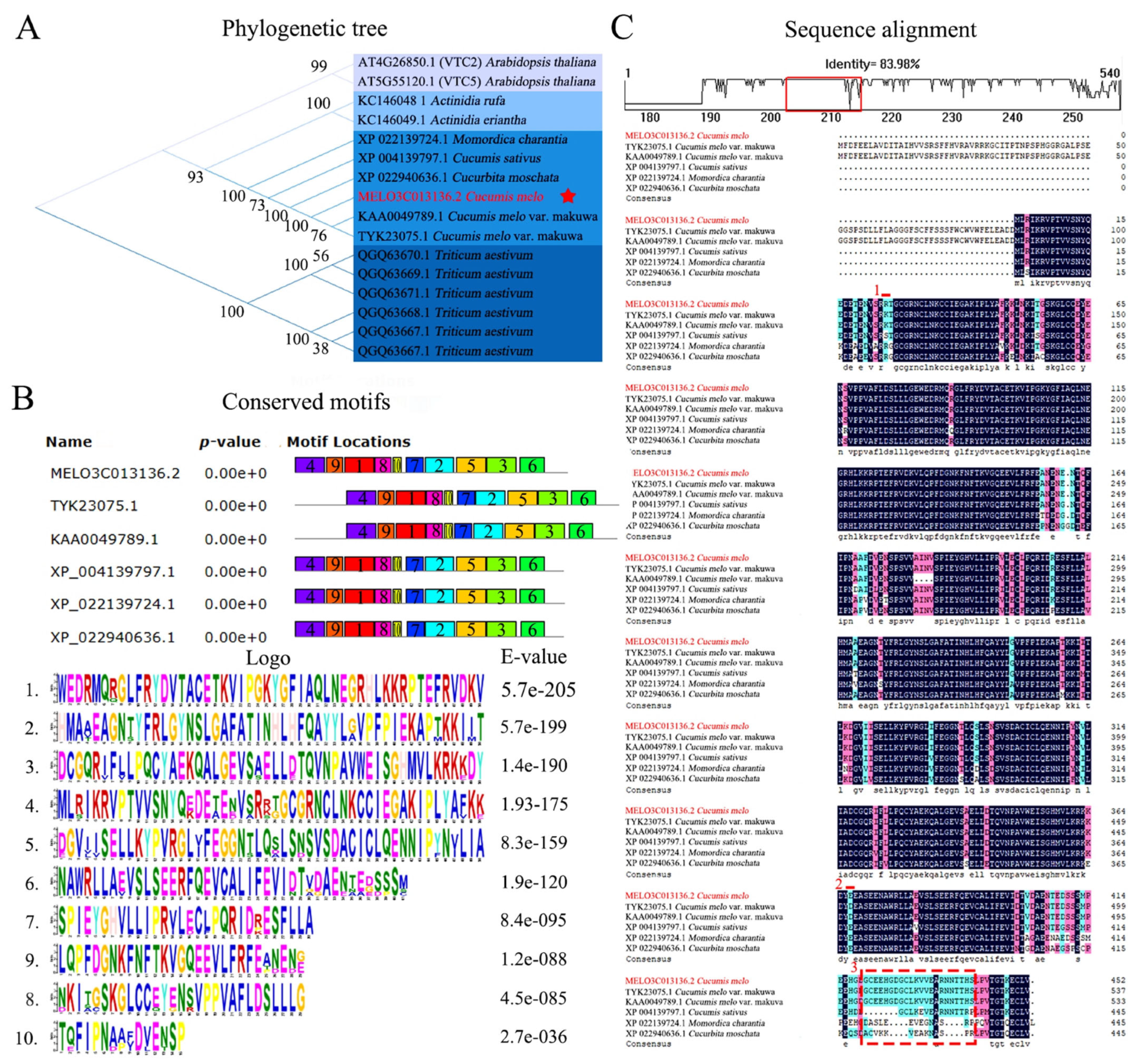 Antioxidants 13 00397 g002