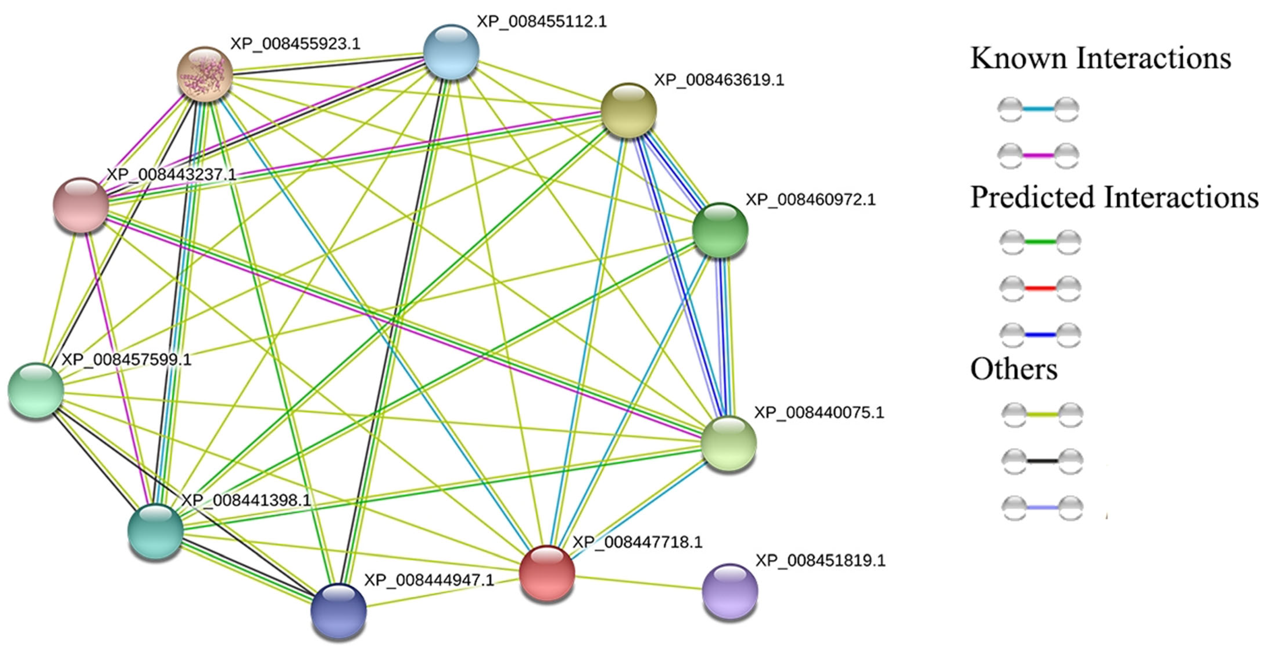 Antioxidants 13 00397 g003