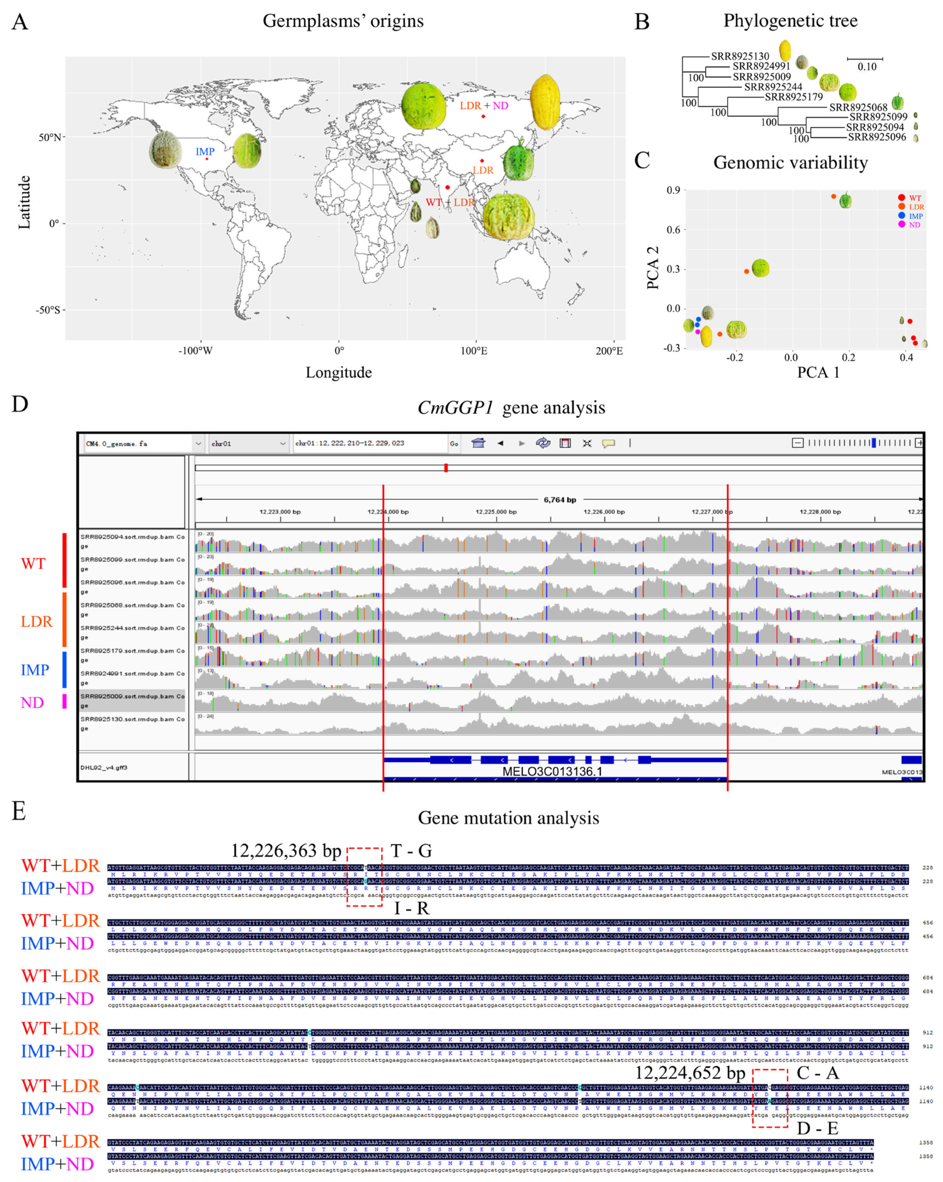 Antioxidants 13 00397 g004
