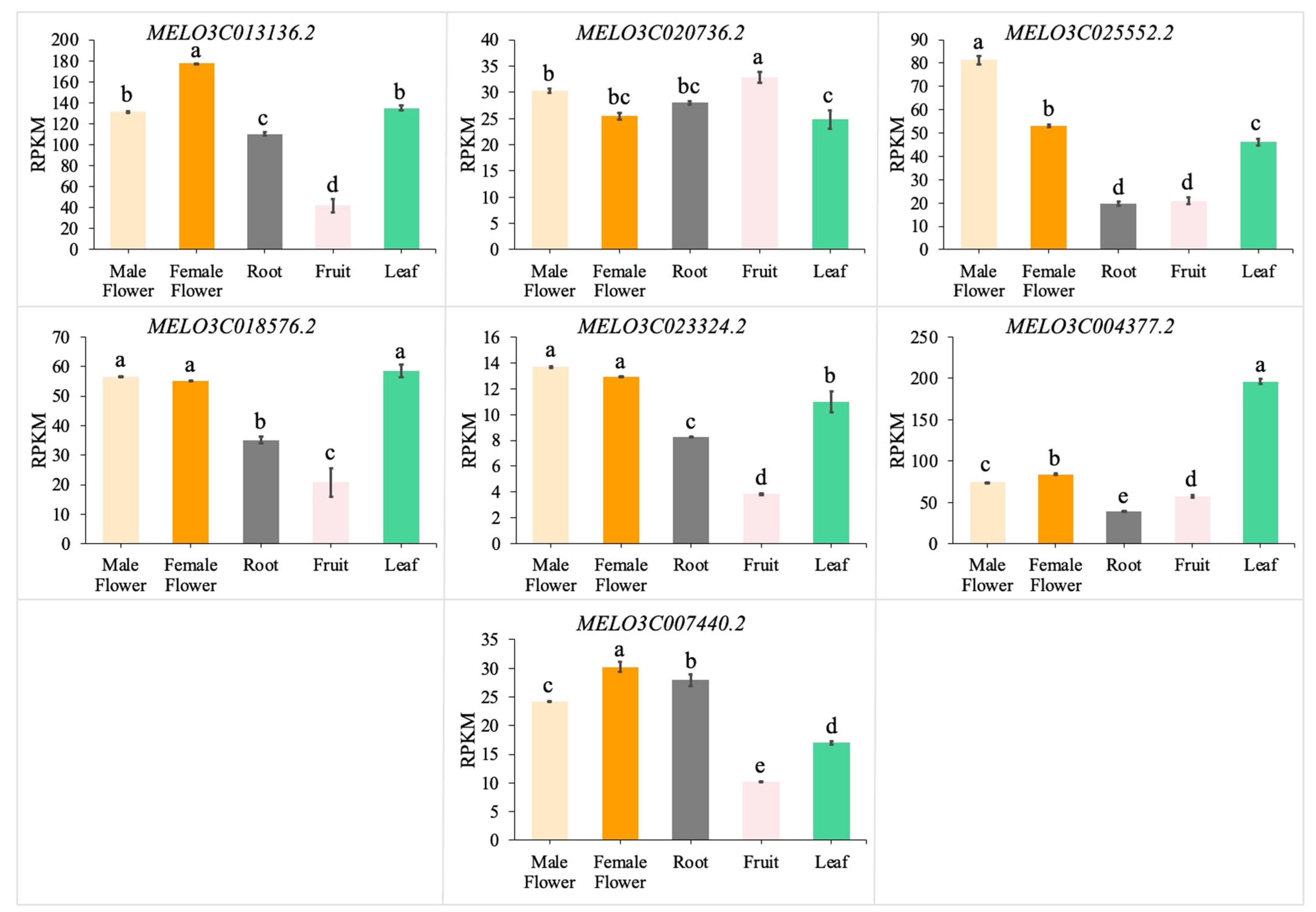 Antioxidants 13 00397 g005