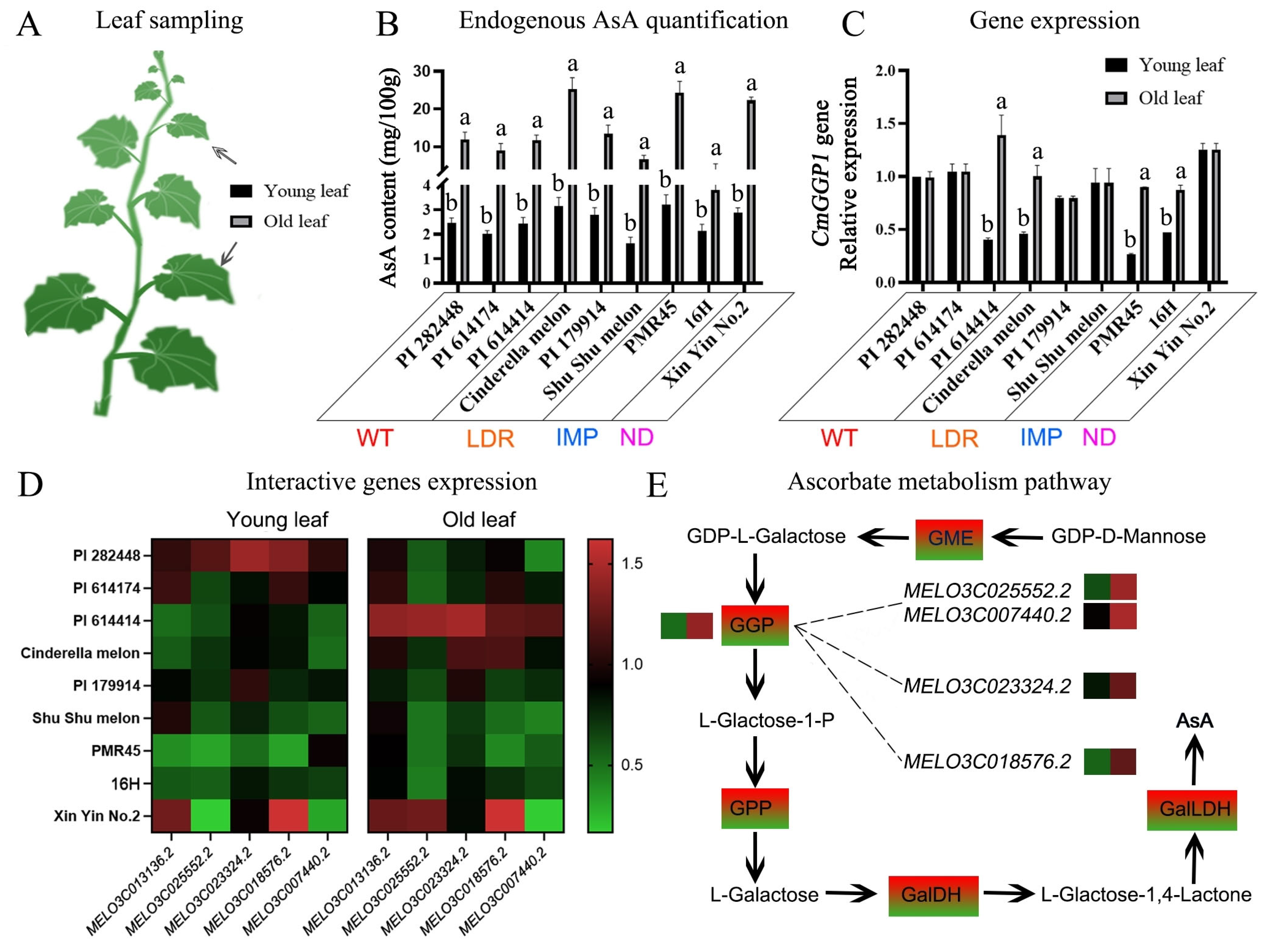 Antioxidants 13 00397 g006