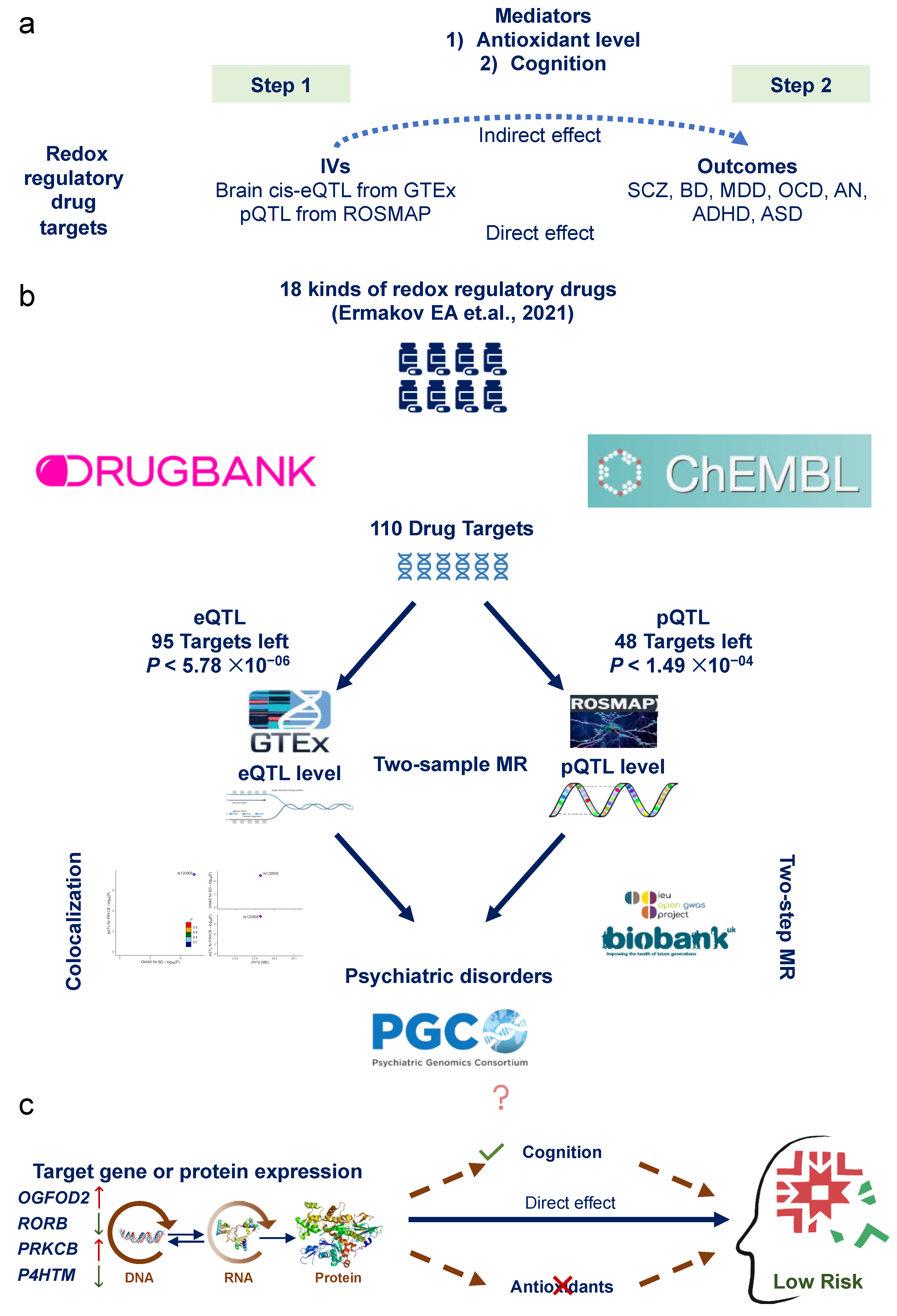 Antioxidants 13 00398 g001