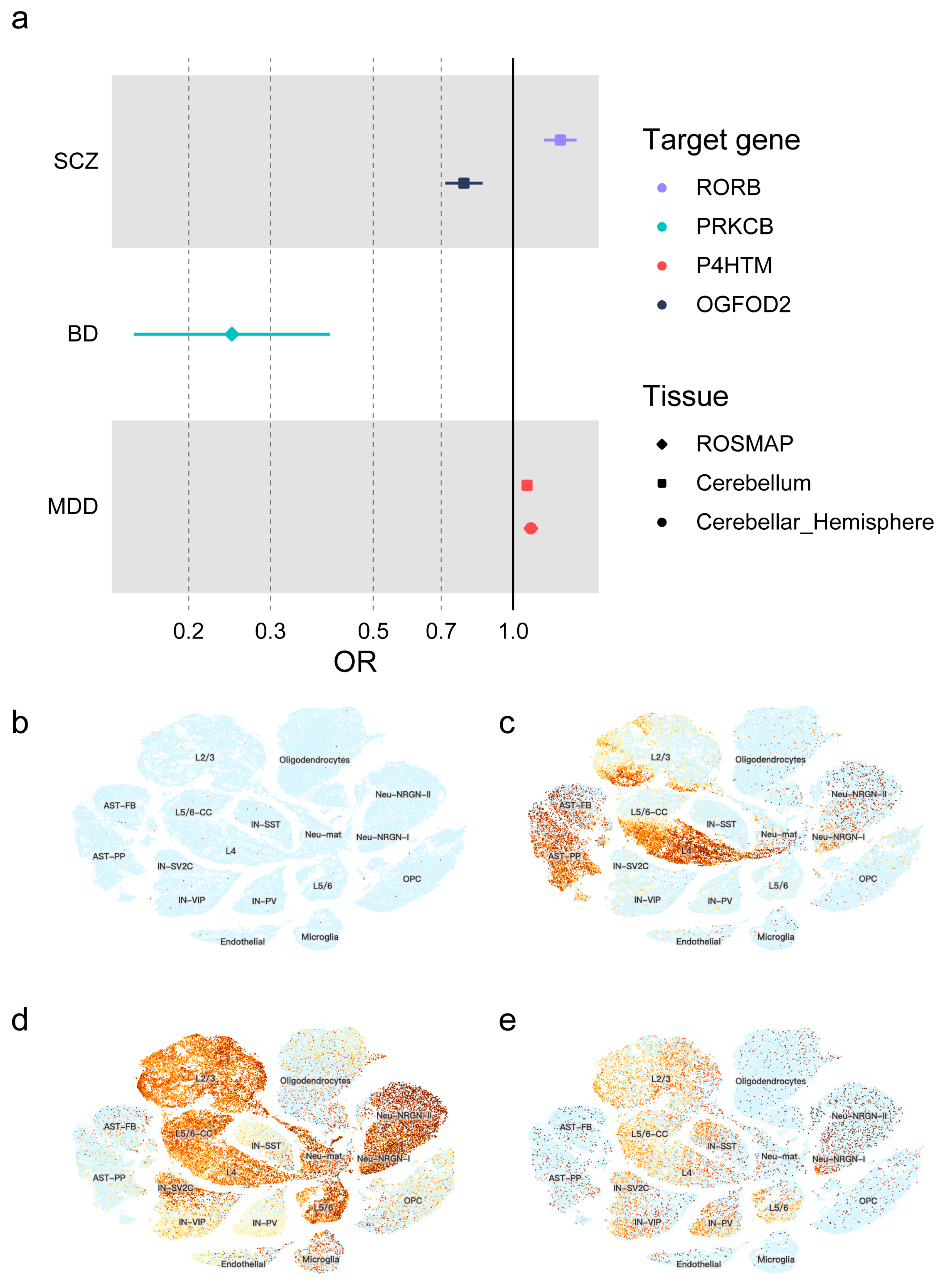 Antioxidants 13 00398 g002