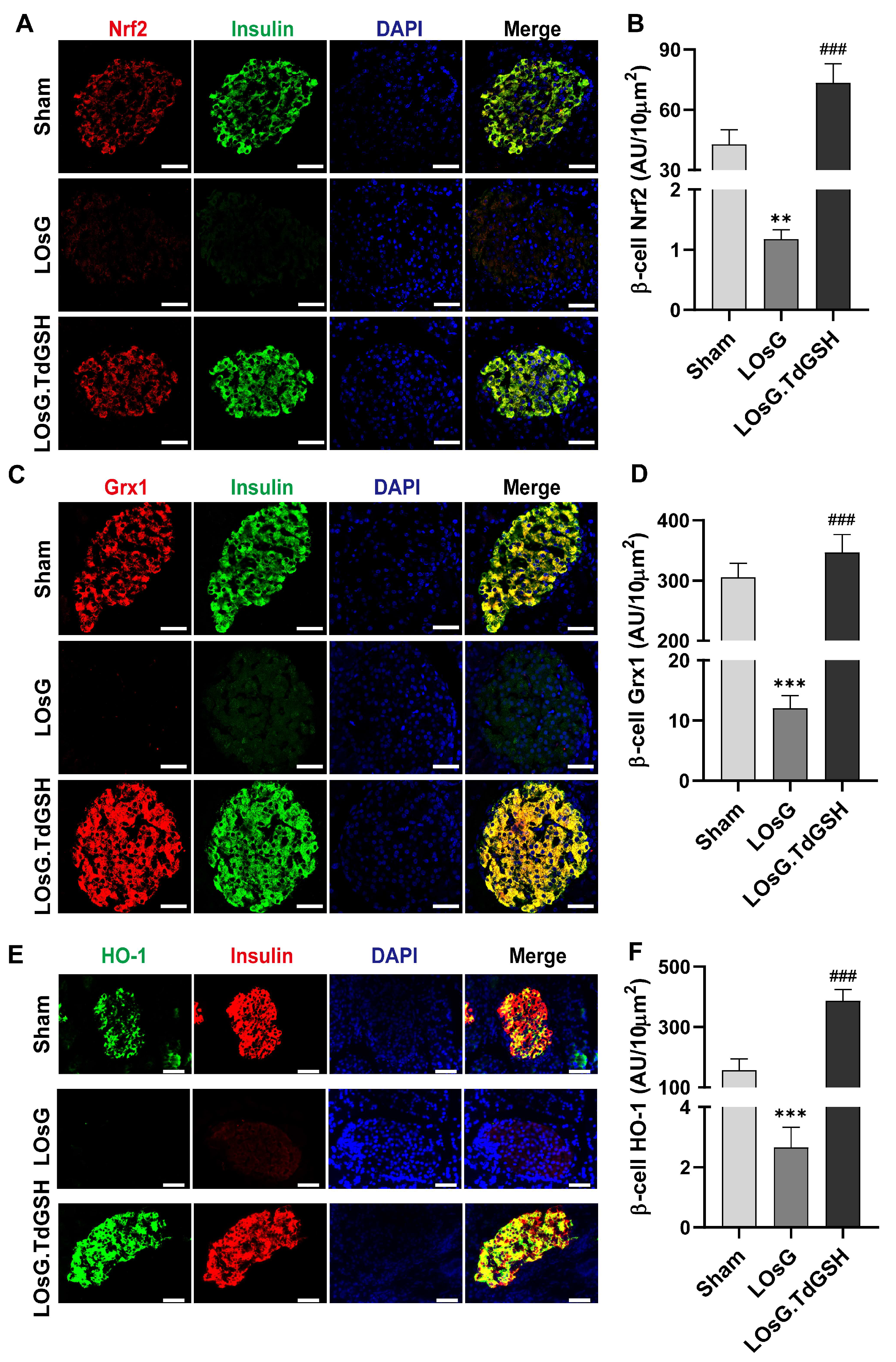 Antioxidants 13 00400 g001