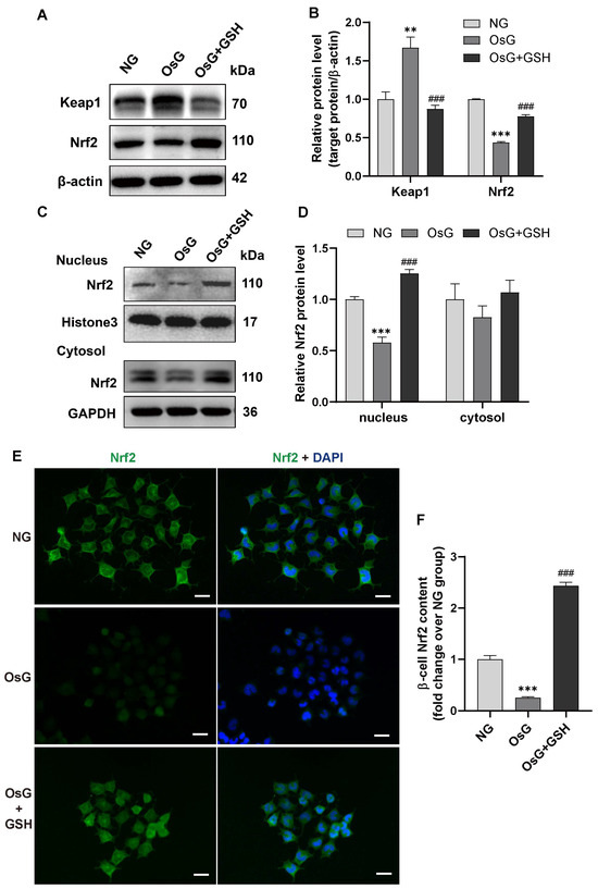 Antioxidants 13 00400 g003