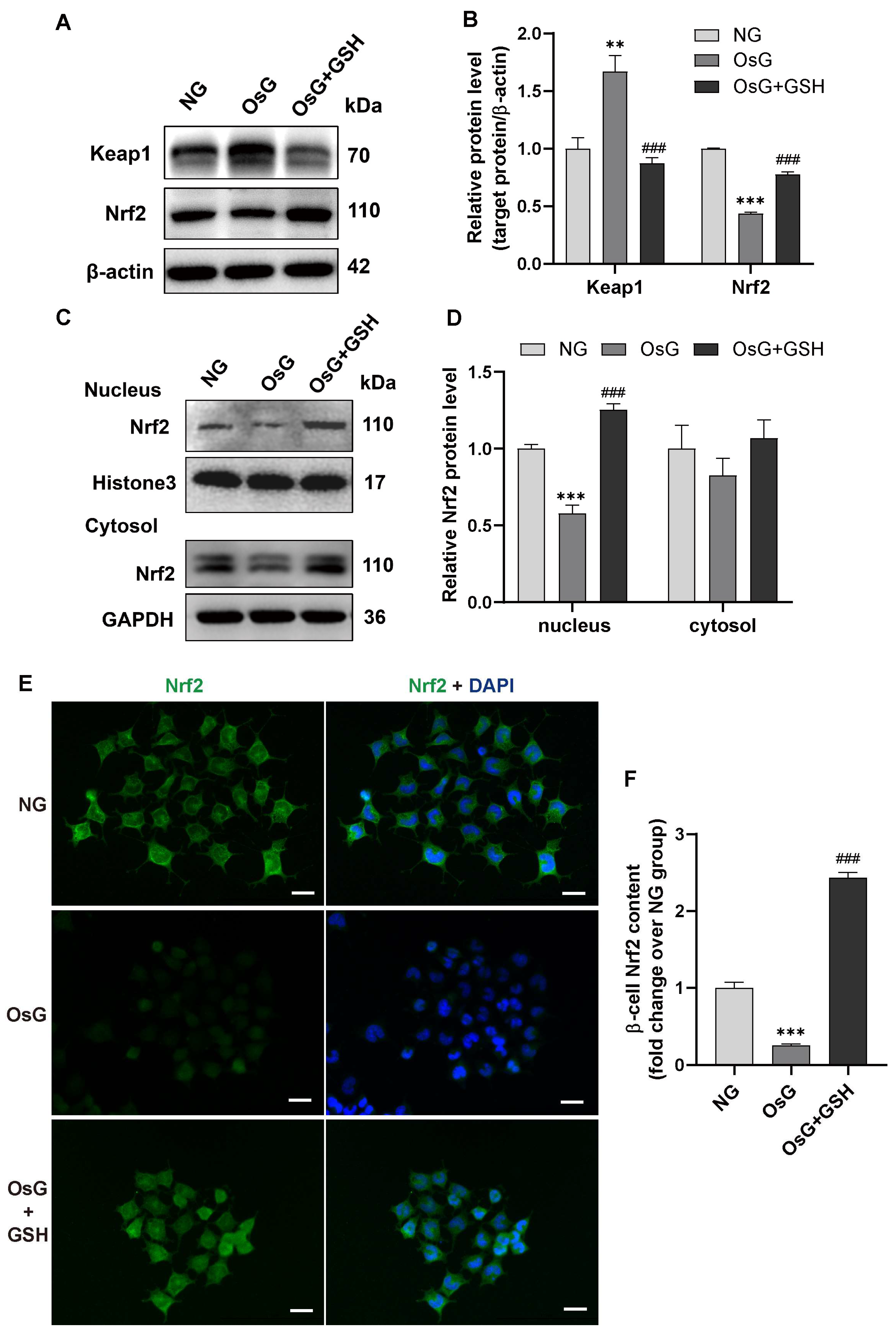 Antioxidants 13 00400 g003