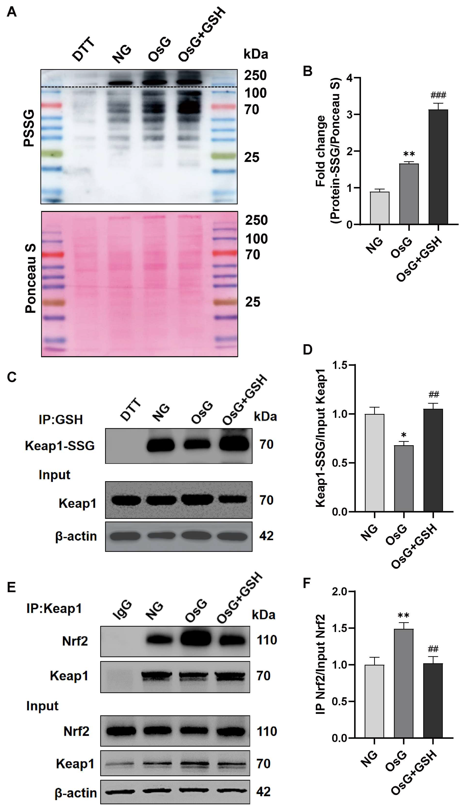 Antioxidants 13 00400 g006