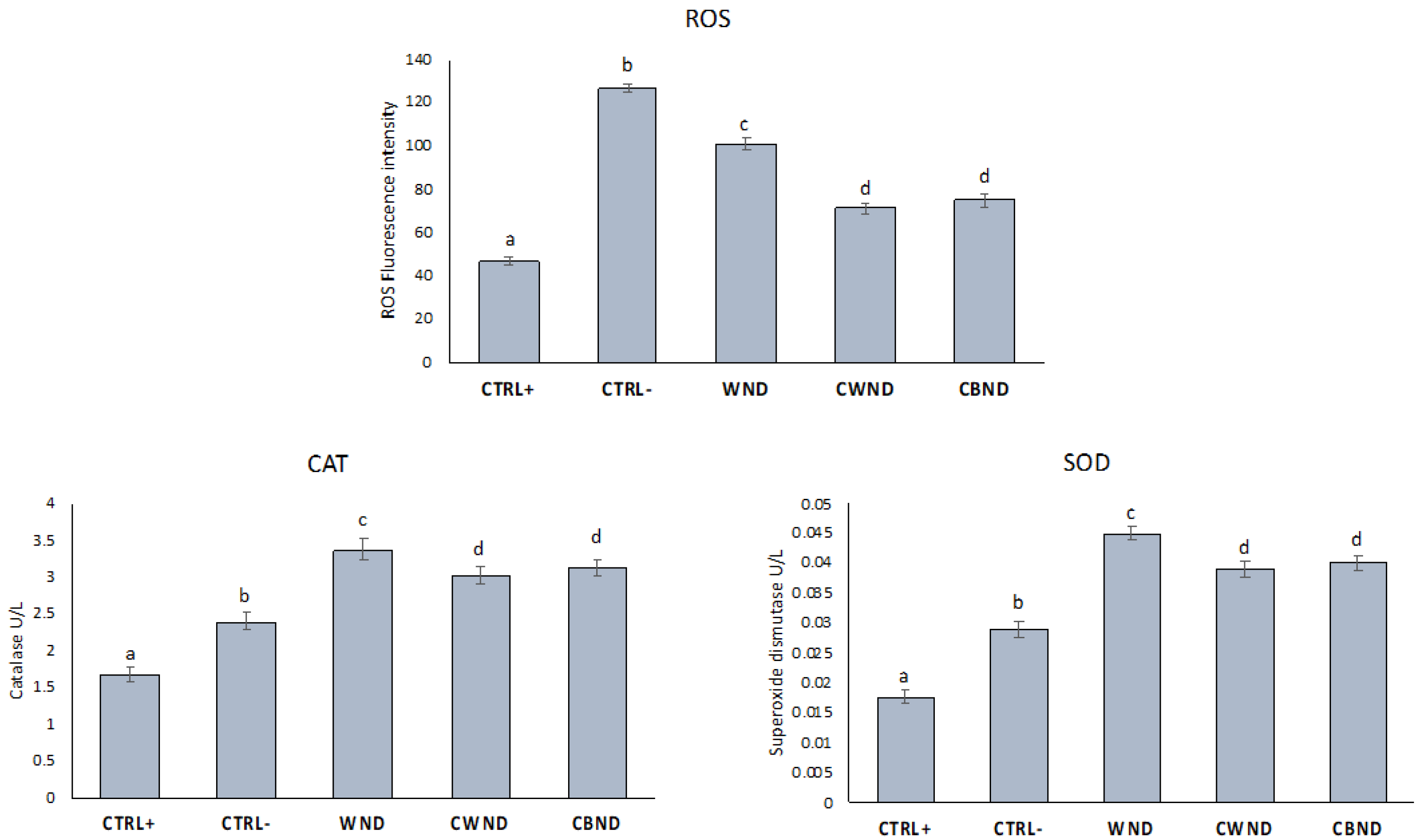 Antioxidants 13 00402 g012