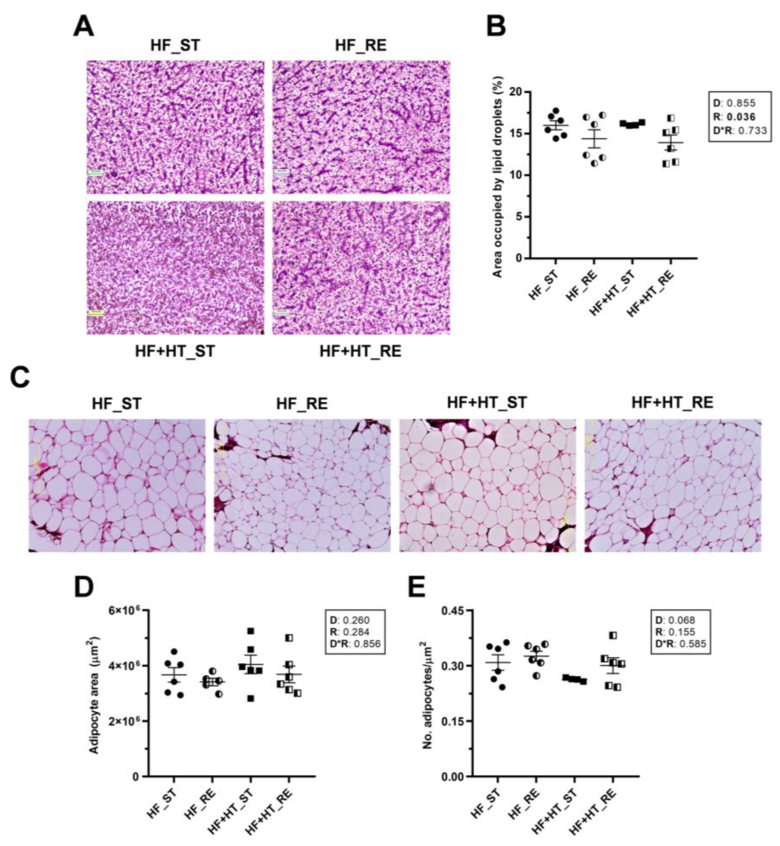 Antioxidants 13 00403 g001