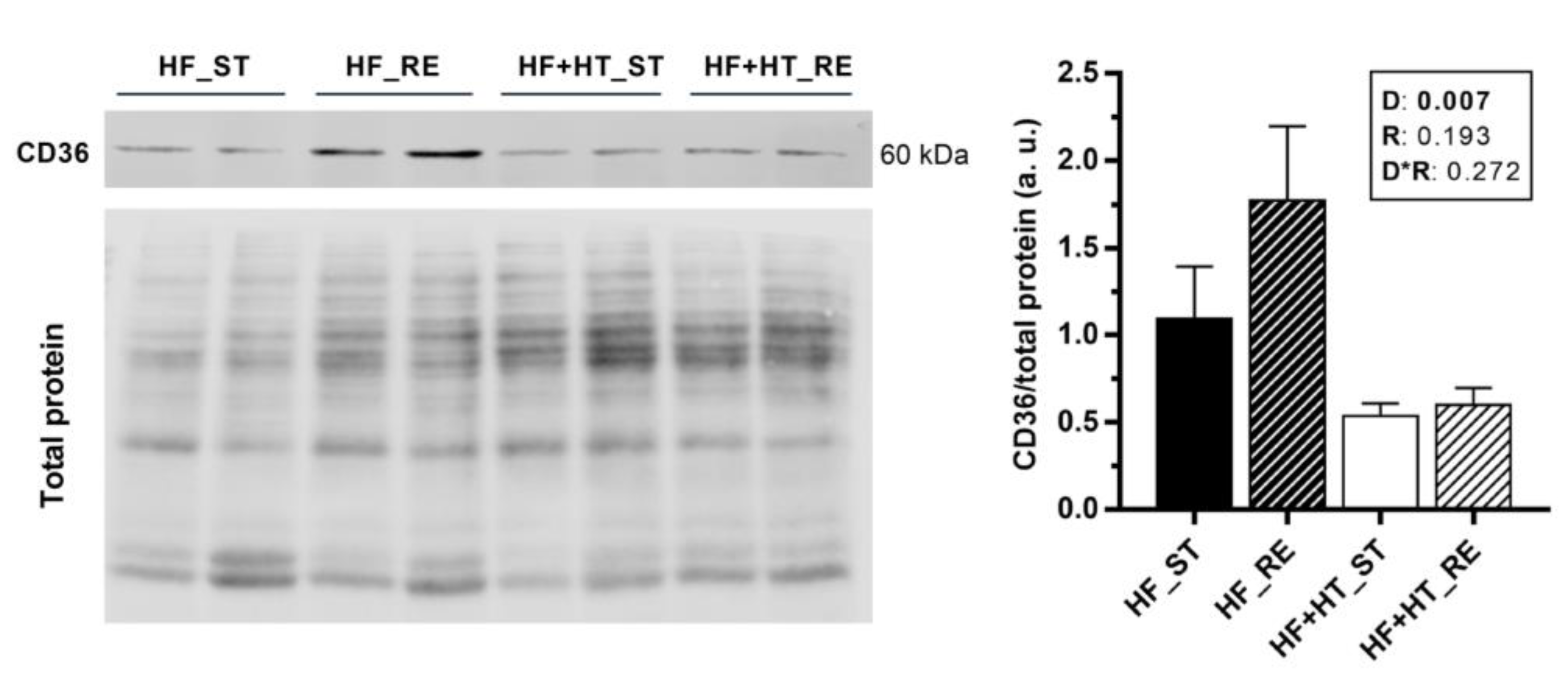 Antioxidants 13 00403 g005