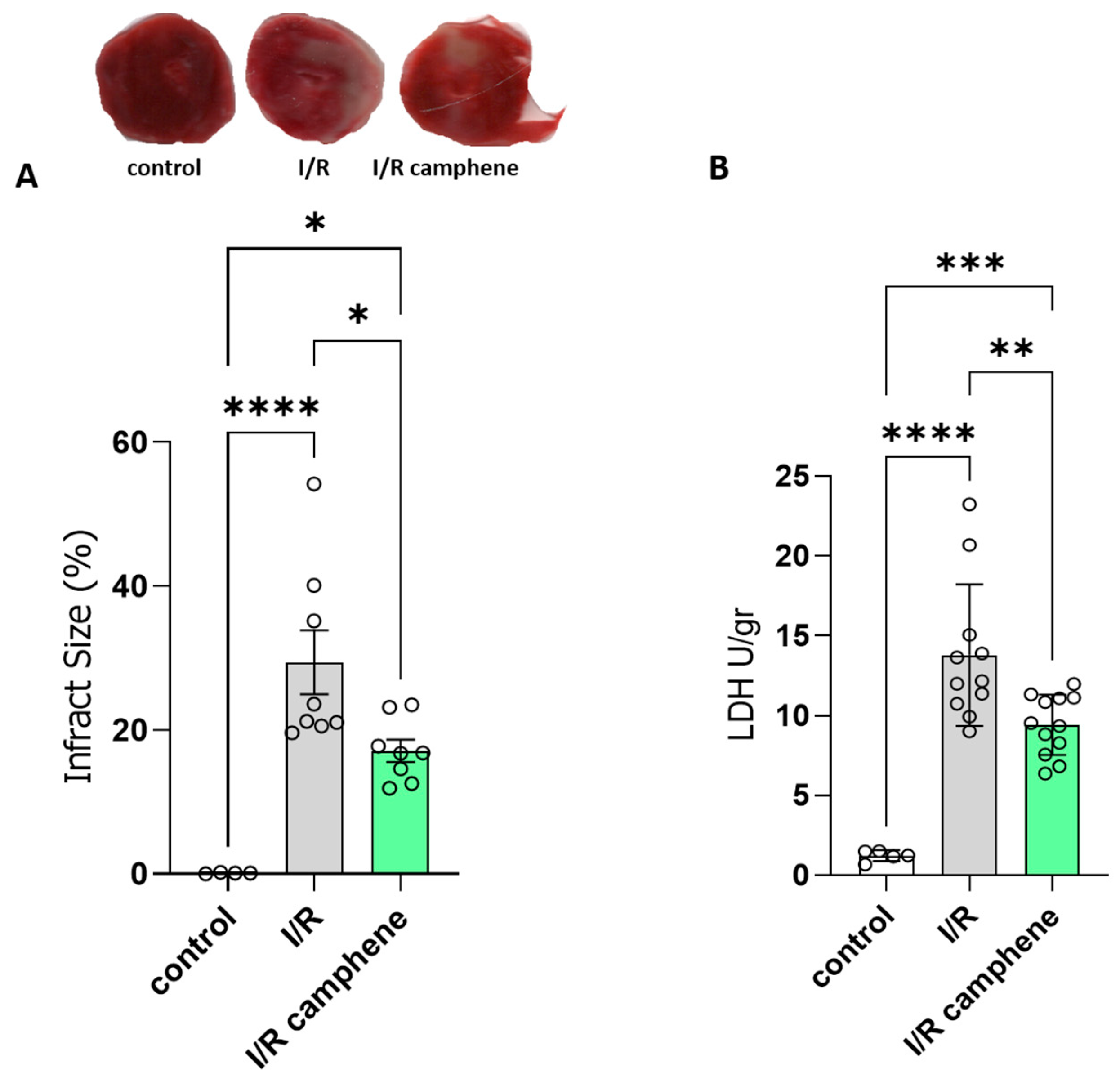 Antioxidants 13 00405 g001