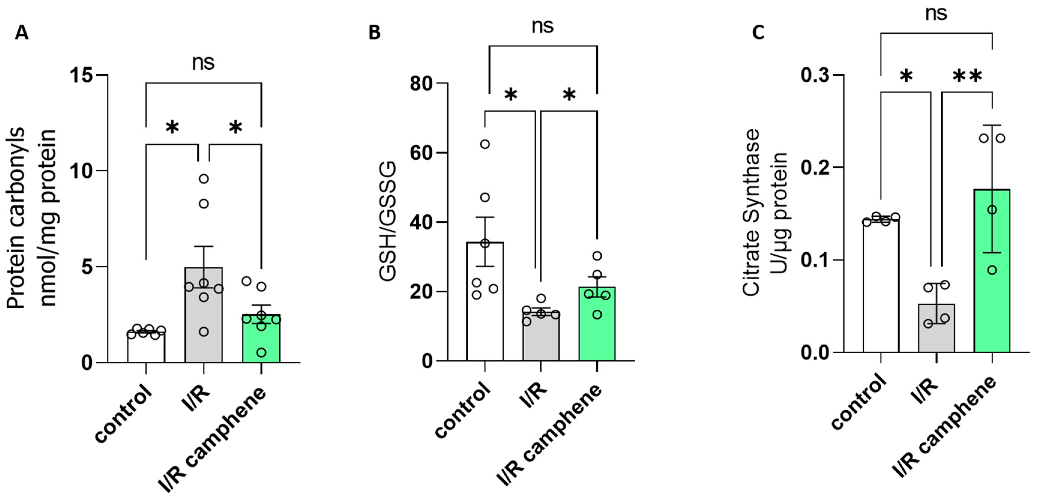Antioxidants 13 00405 g002