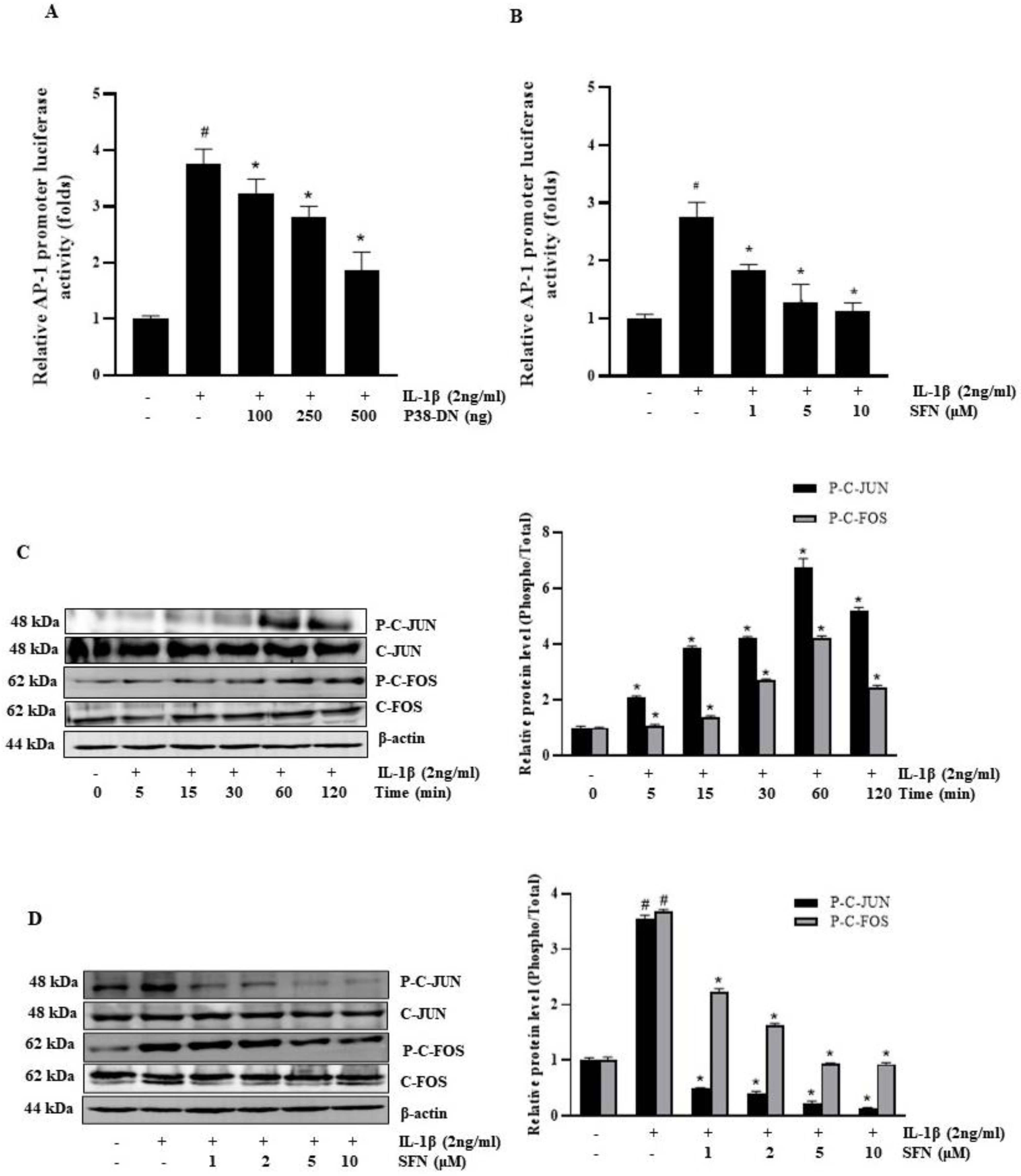 Antioxidants 13 00406 g004