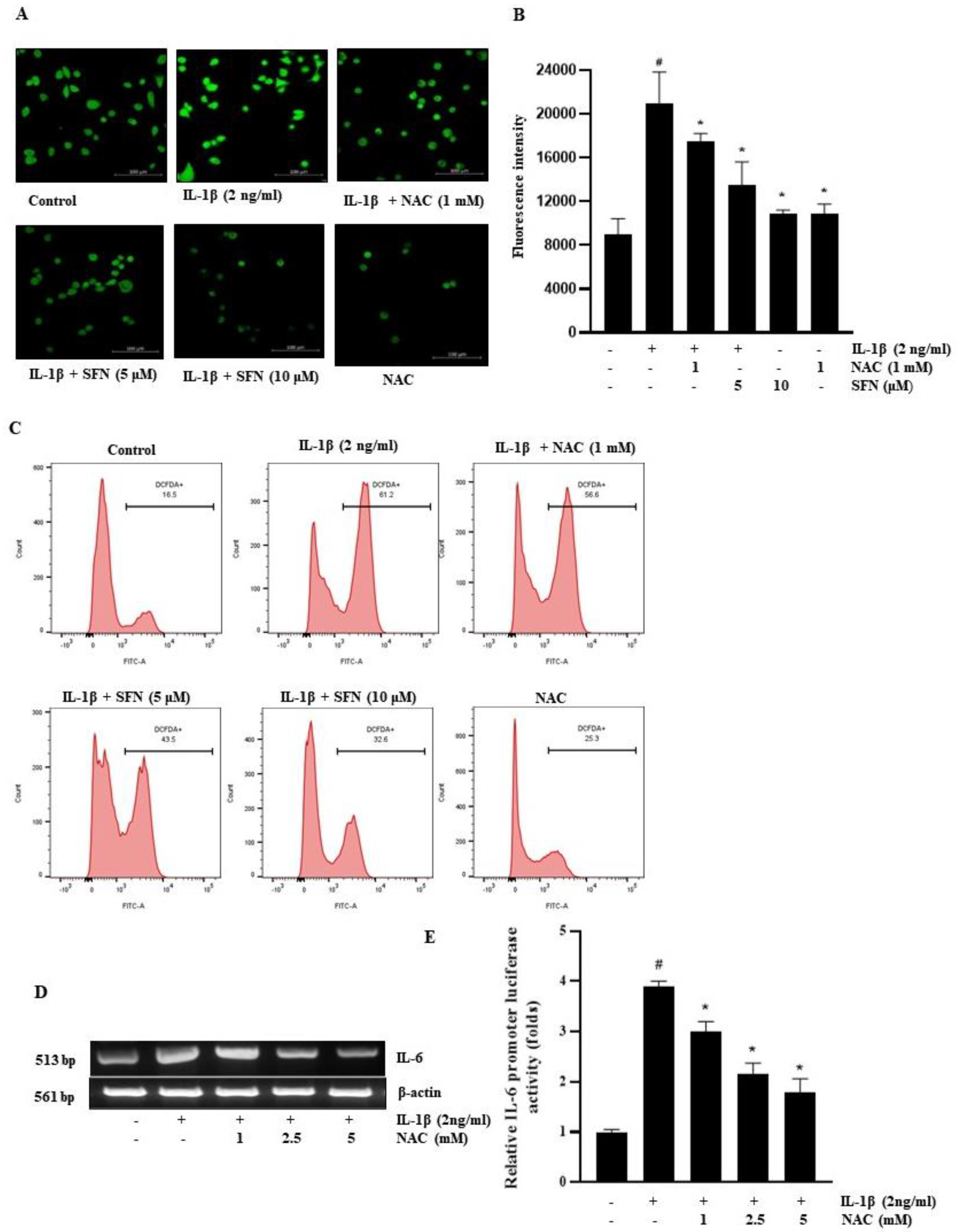 Antioxidants 13 00406 g005