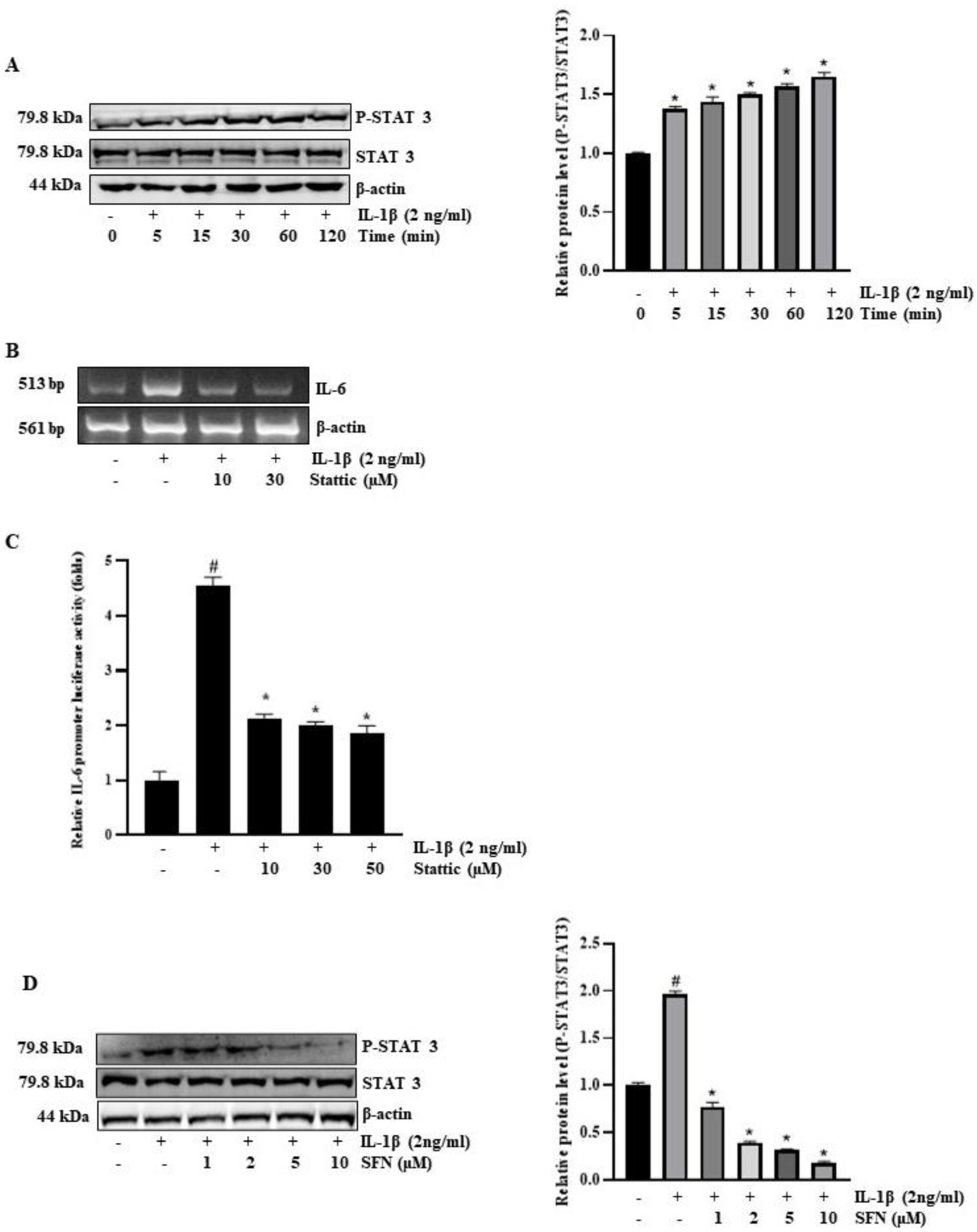 Antioxidants 13 00406 g006