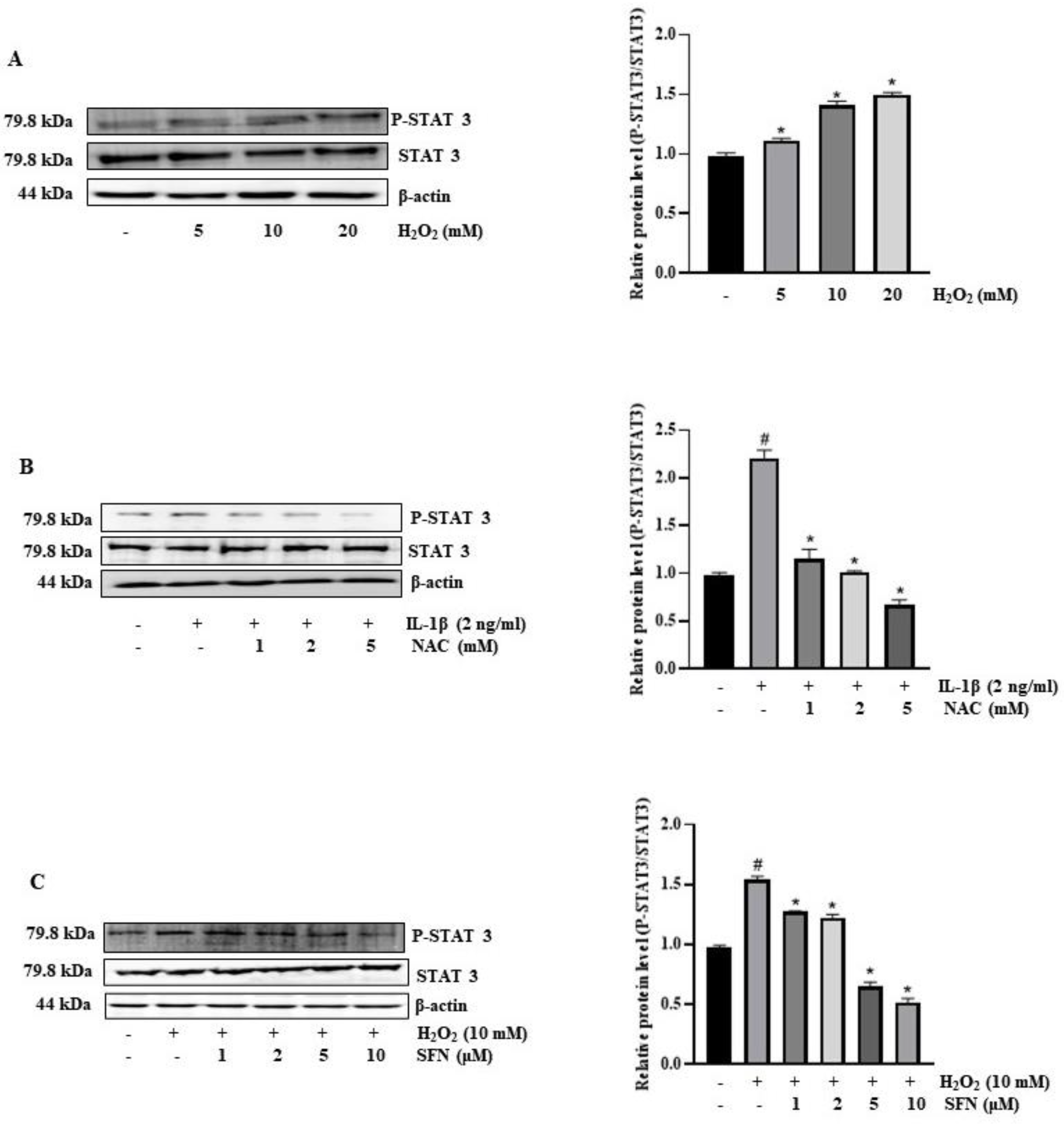 Antioxidants 13 00406 g007