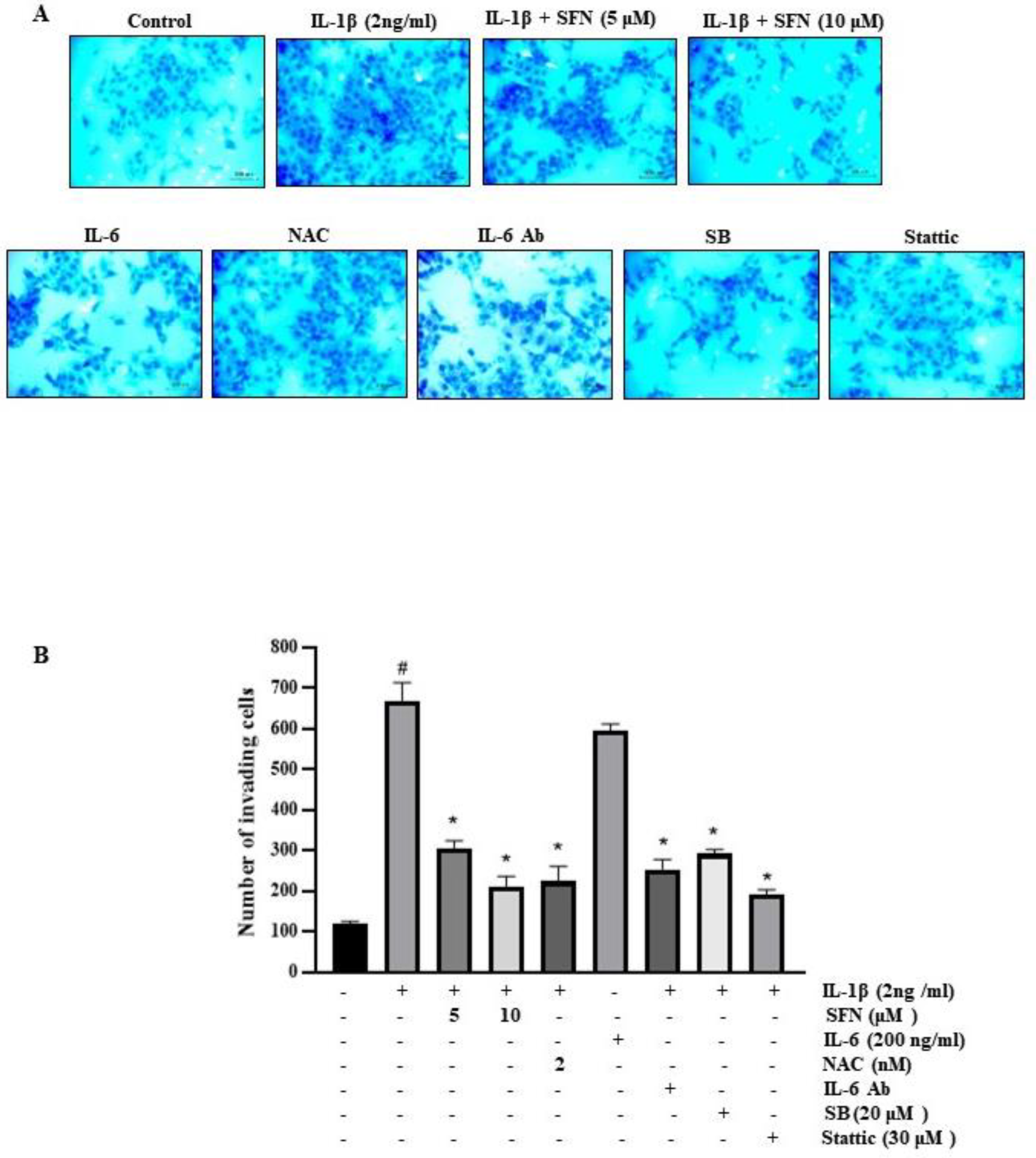 Antioxidants 13 00406 g008