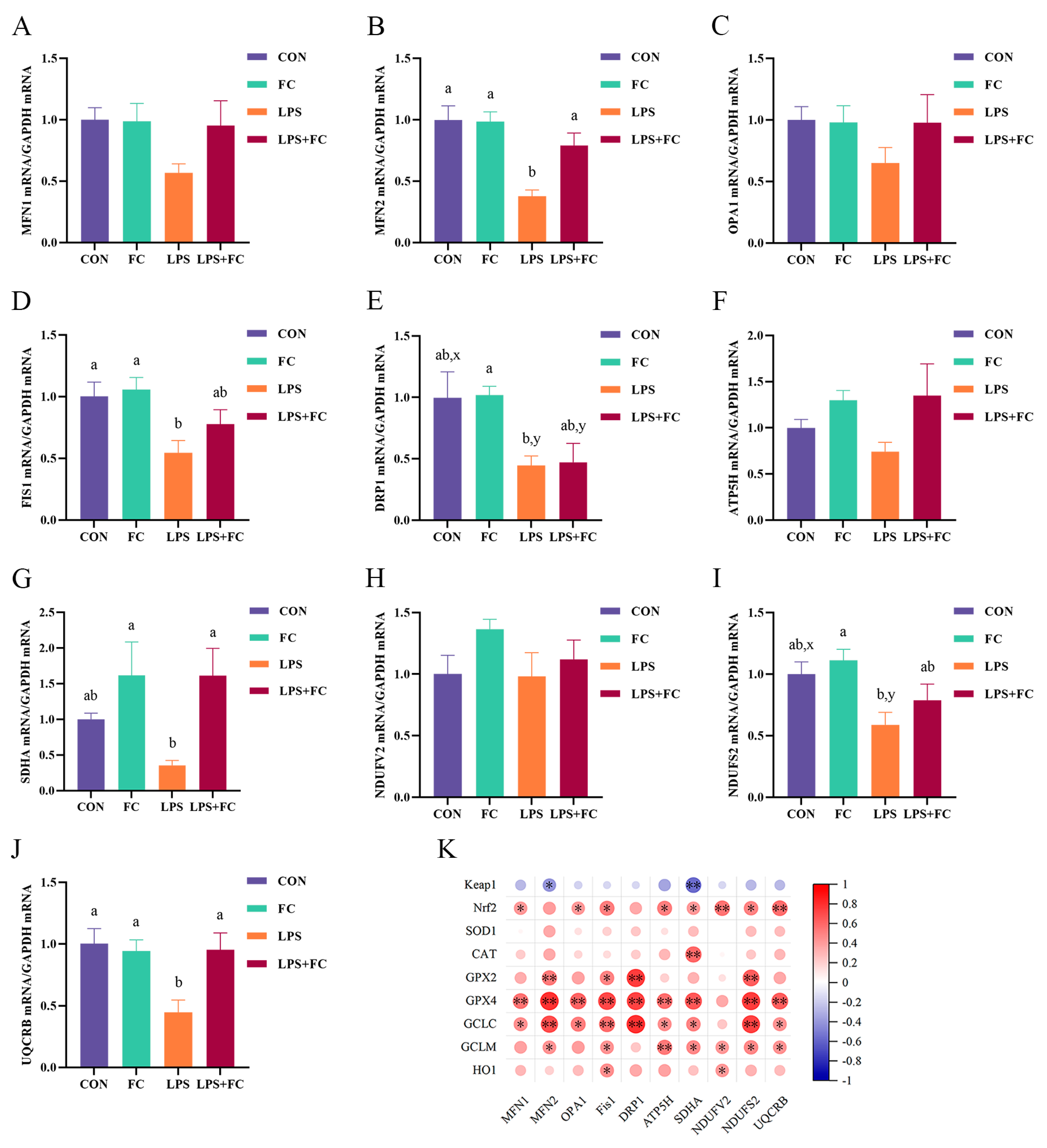 Antioxidants 13 00407 g006