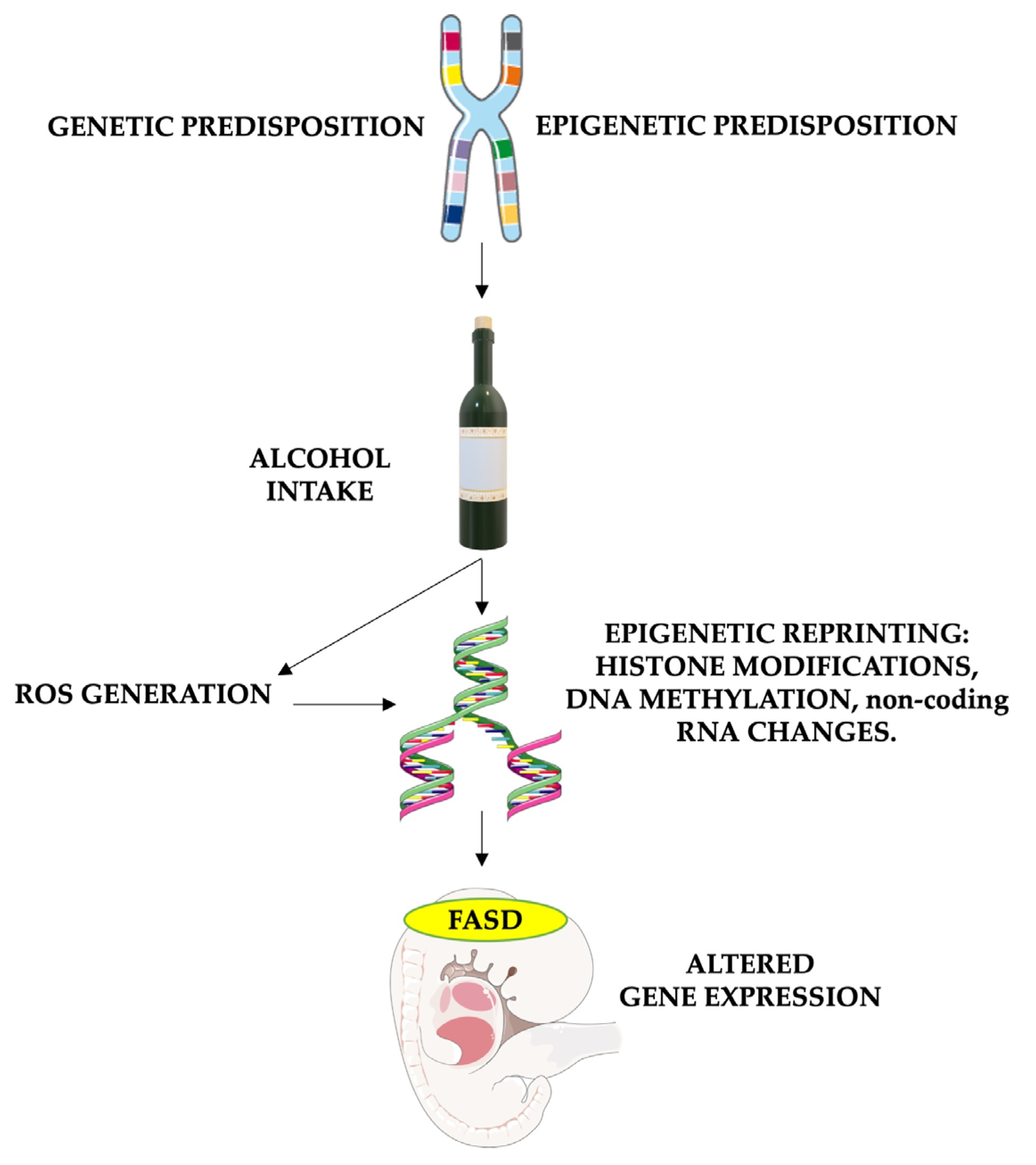 Antioxidants 13 00410 g002