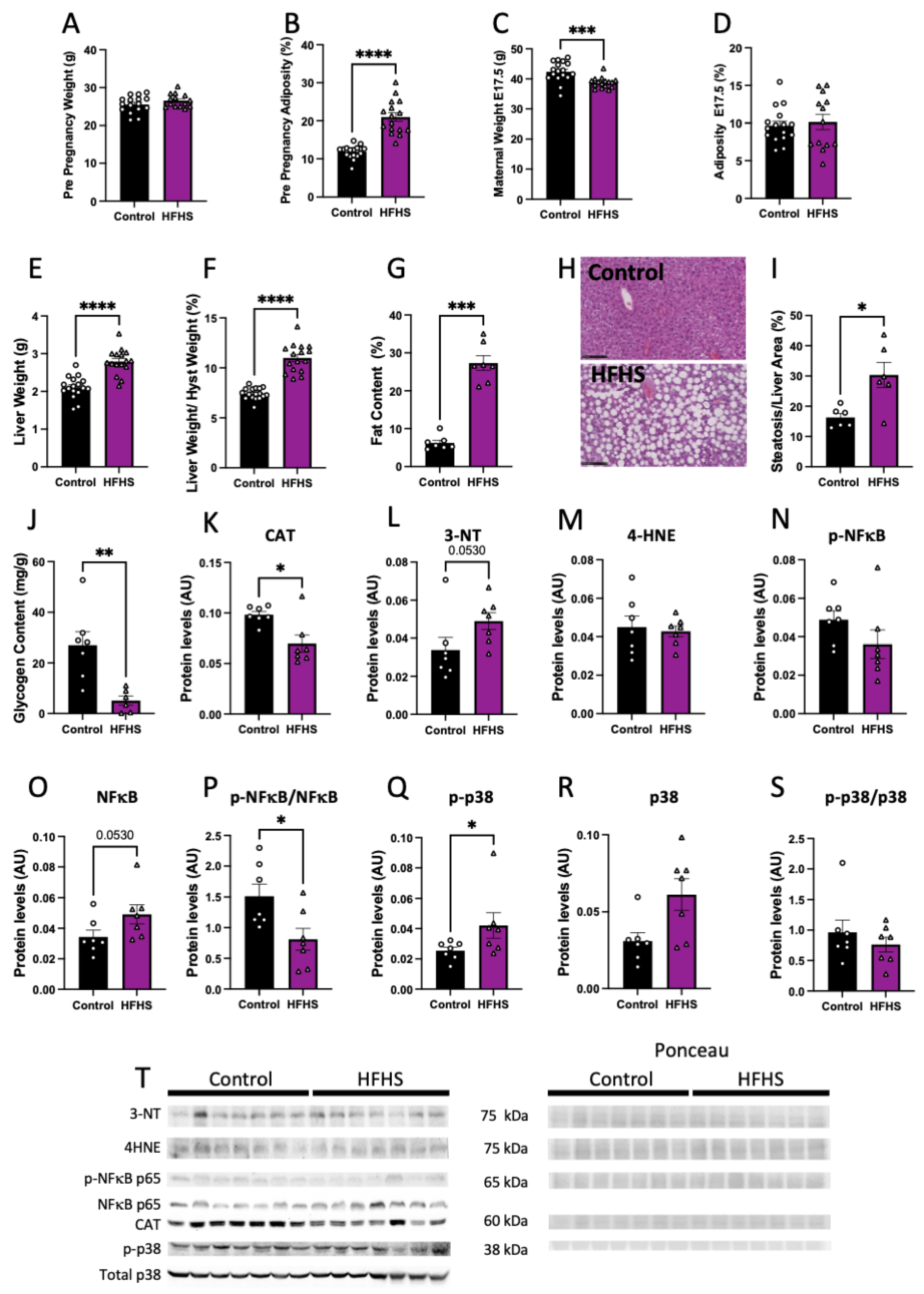 Antioxidants 13 00411 g001