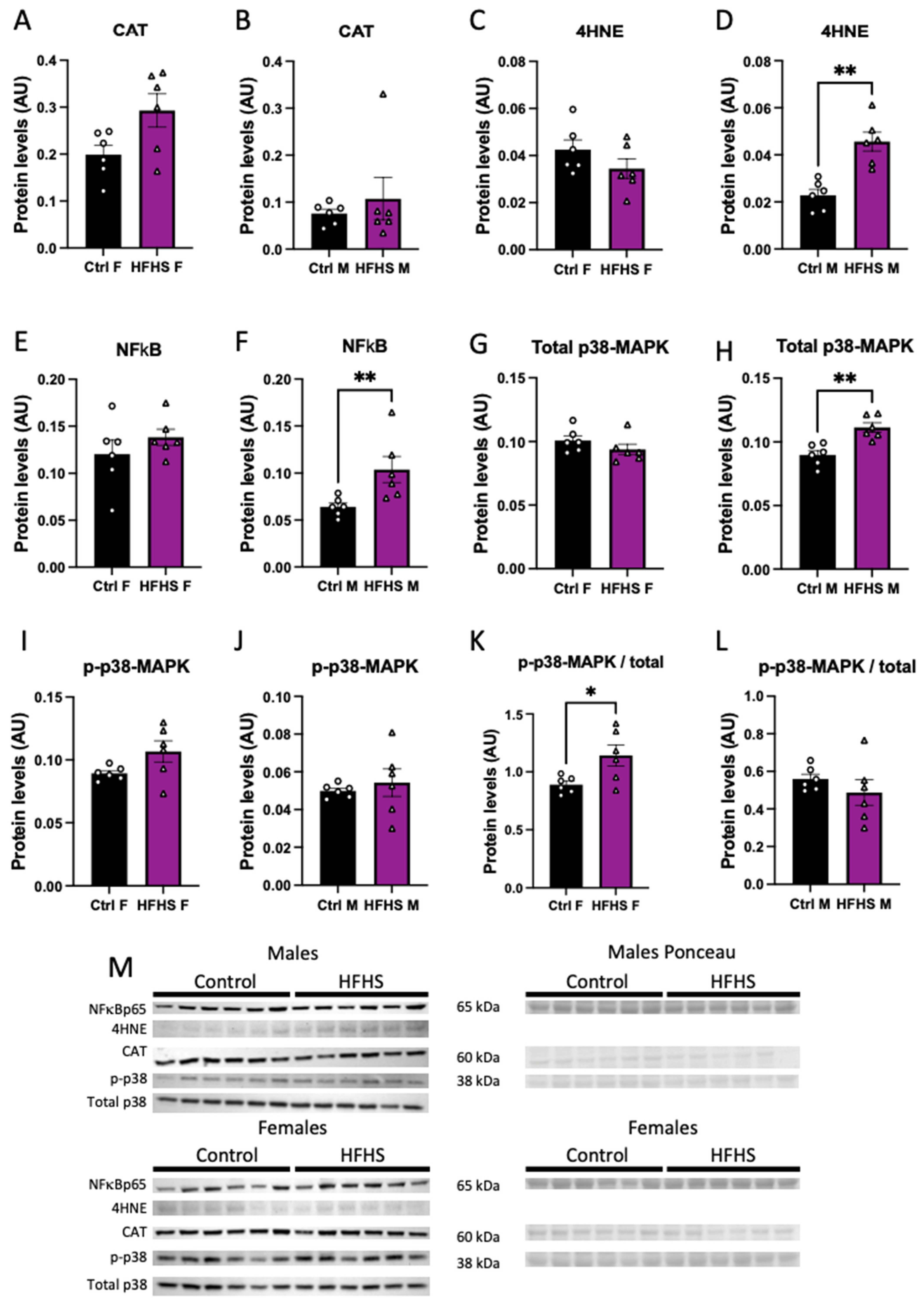 Antioxidants 13 00411 g004