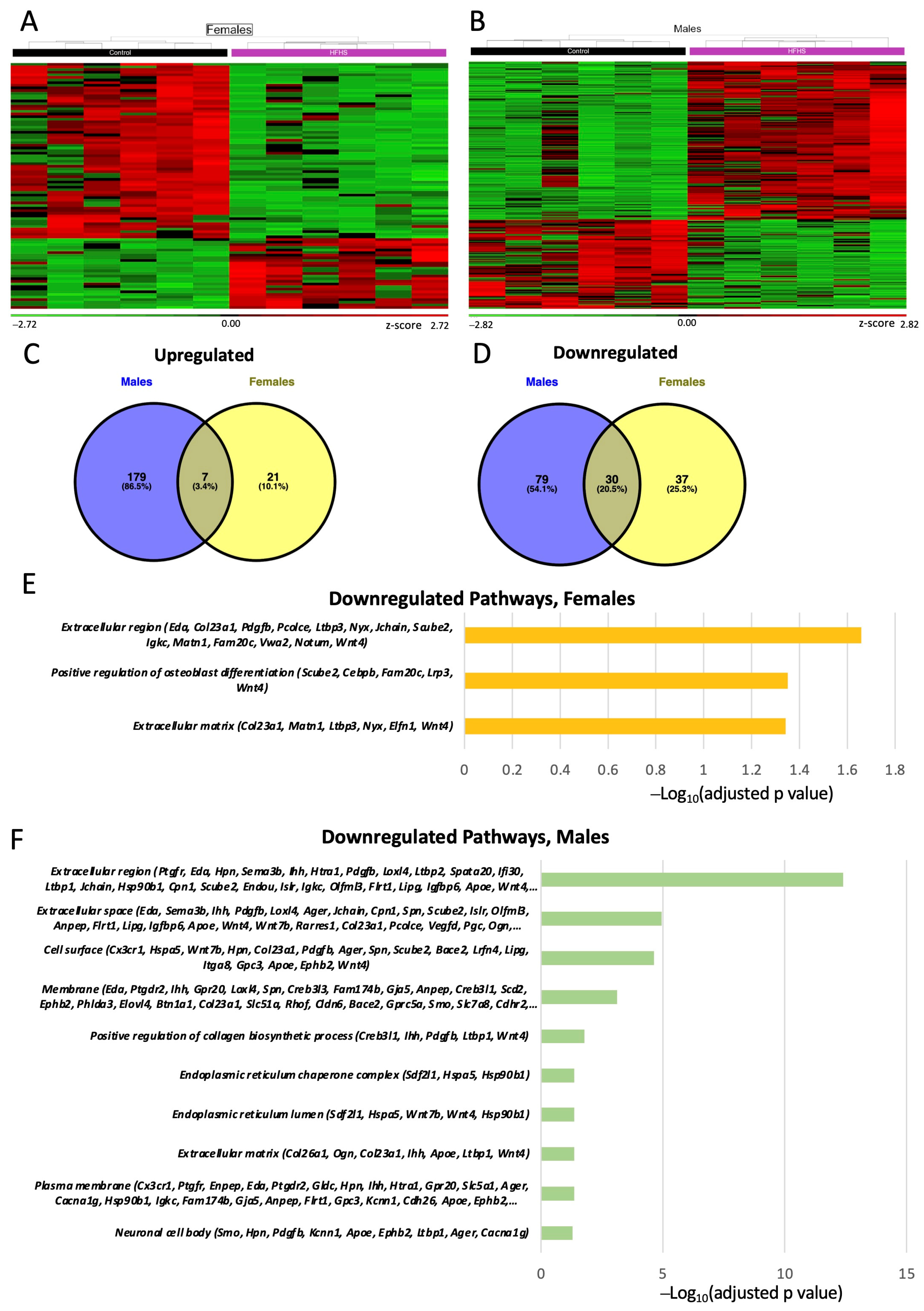 Antioxidants 13 00411 g005