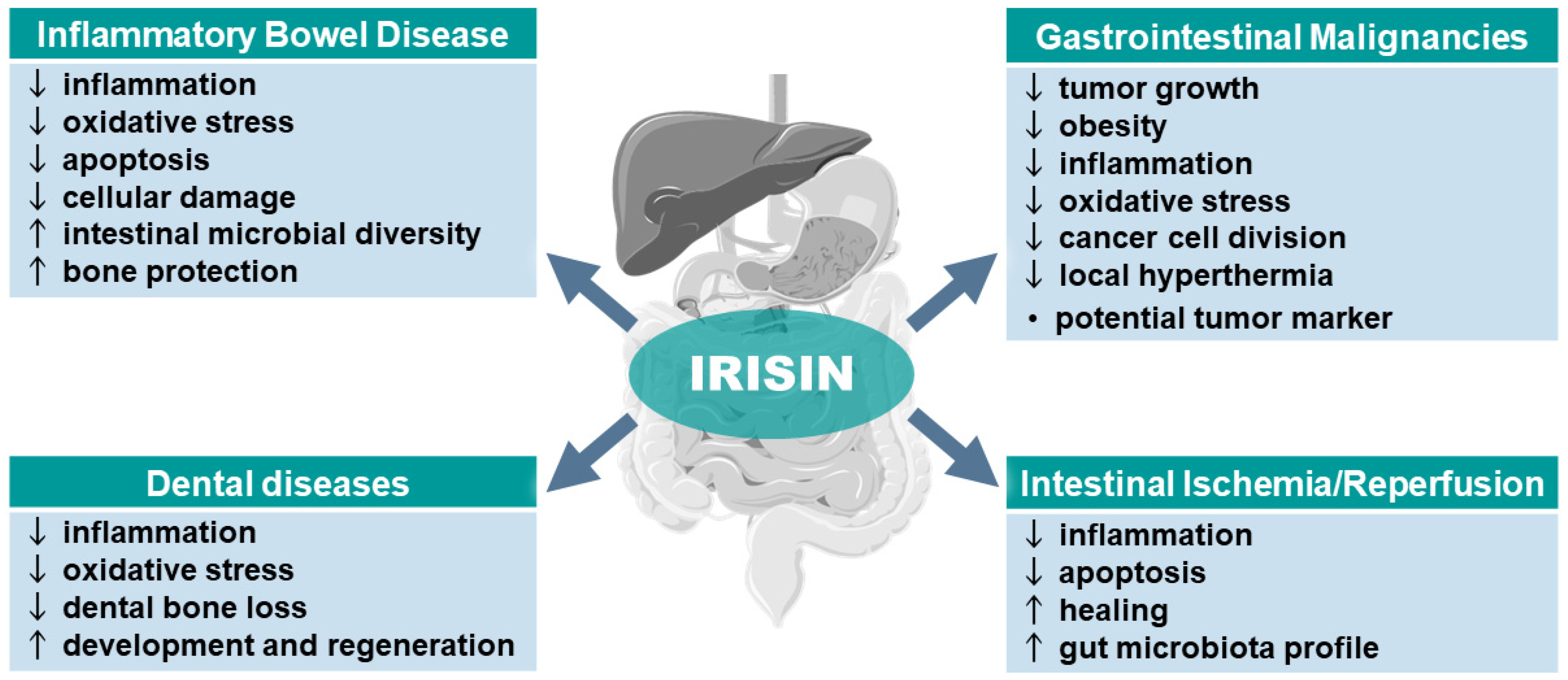 Antioxidants 13 00413 g002