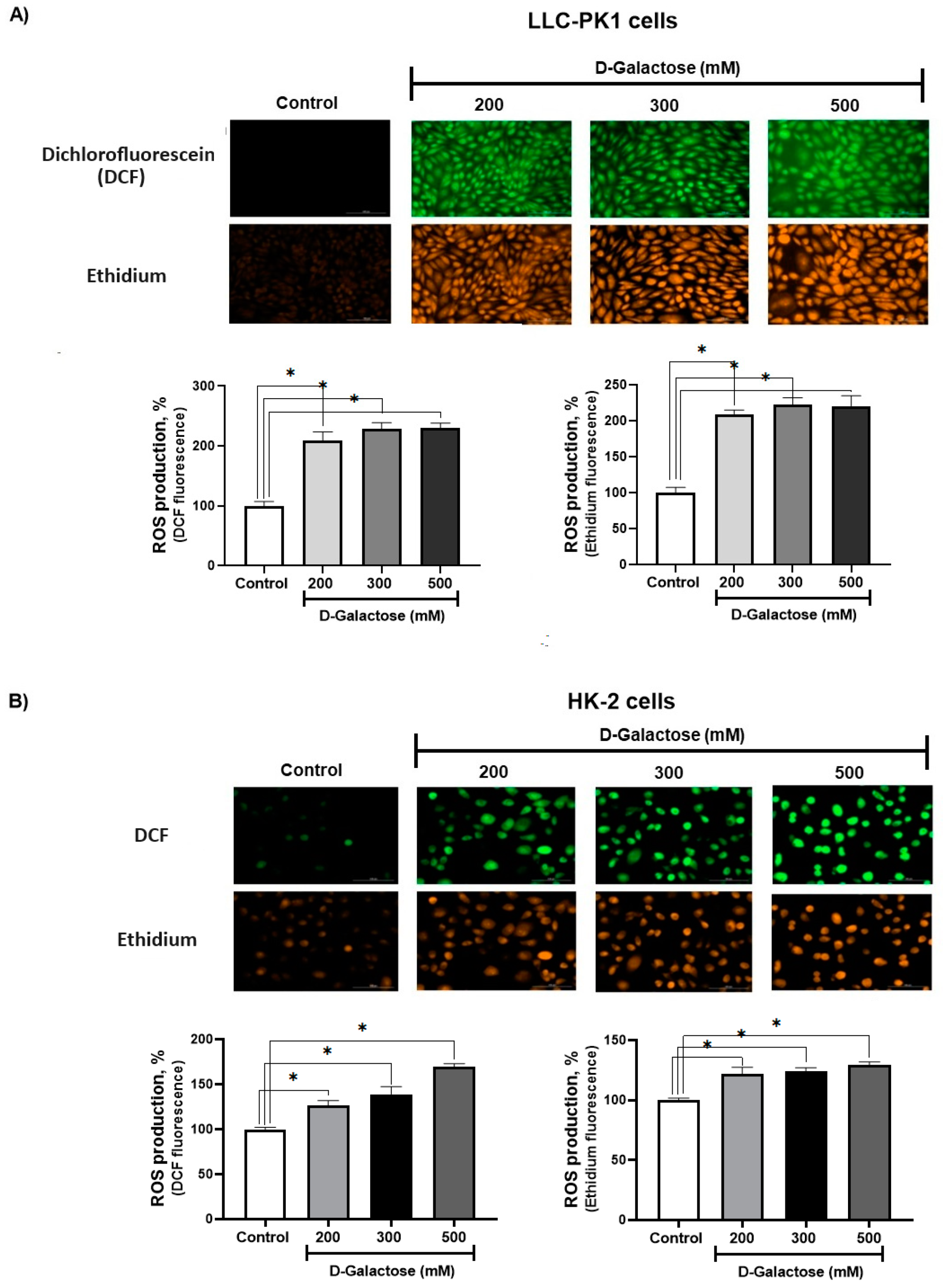 Antioxidants 13 00415 g002