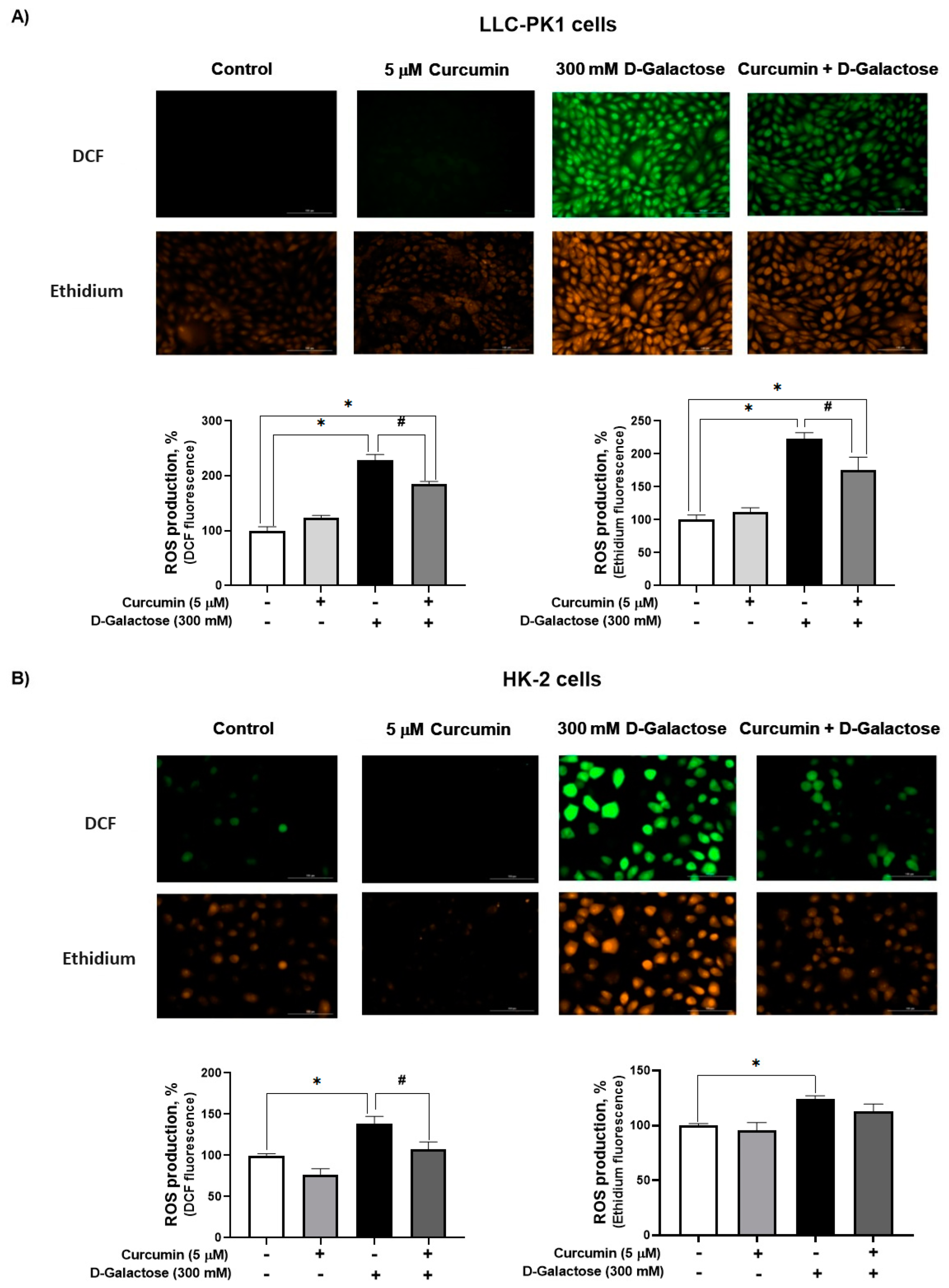 Antioxidants 13 00415 g003
