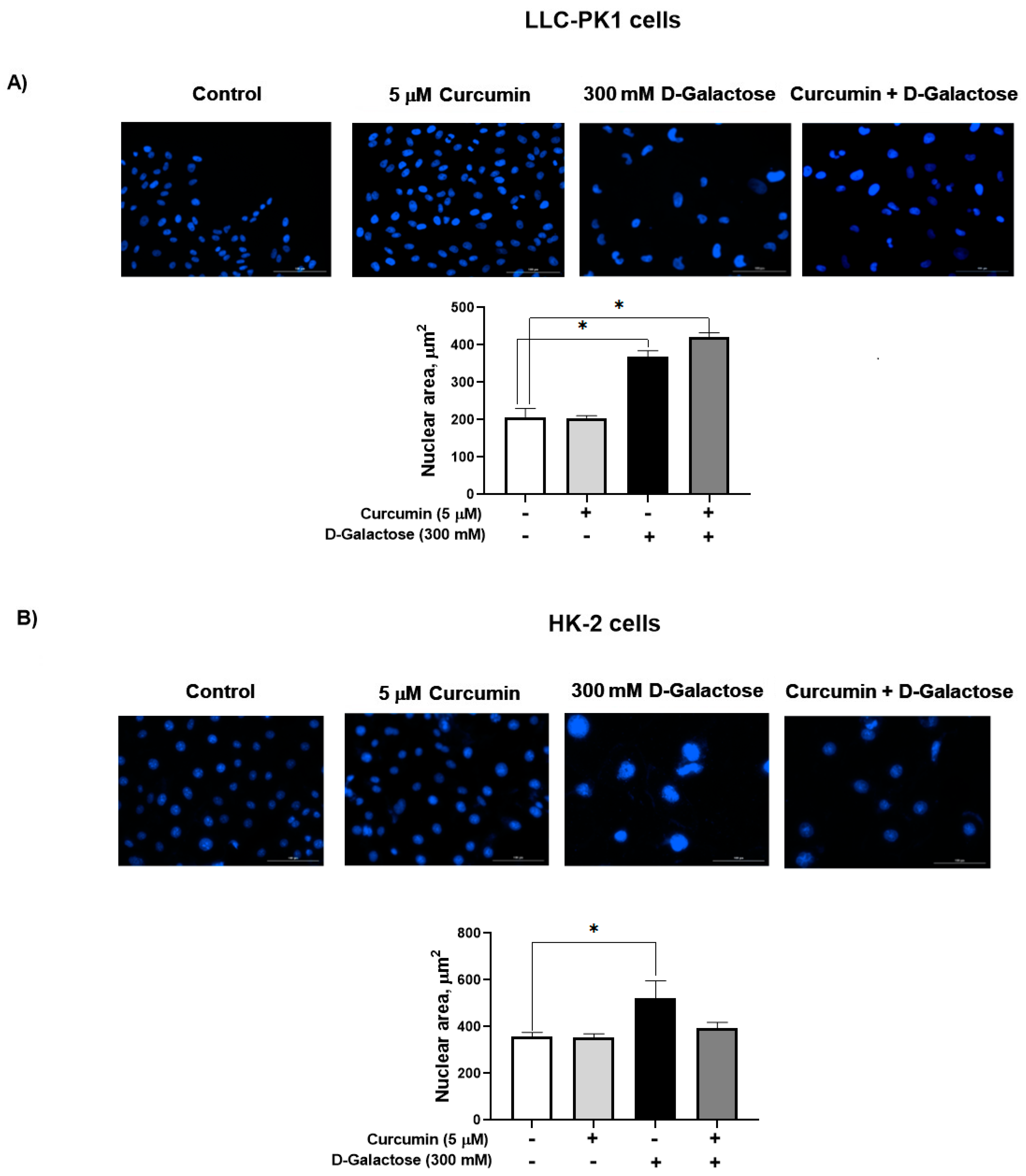 Antioxidants 13 00415 g005