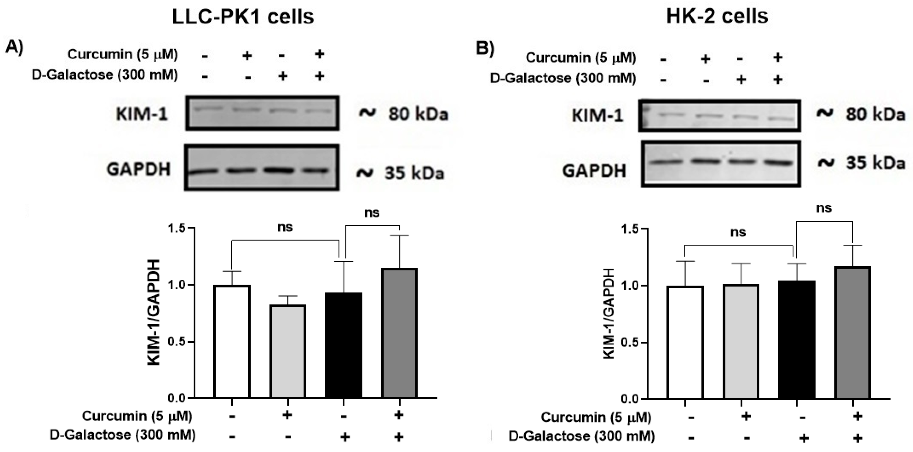 Antioxidants 13 00415 g008