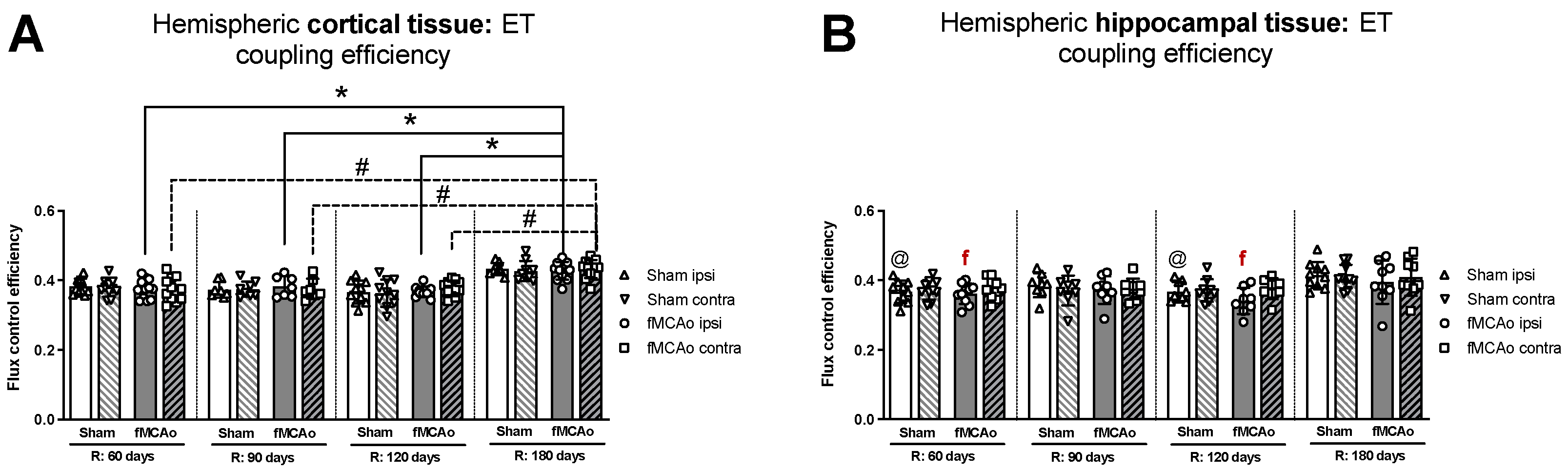 Antioxidants 13 00416 g003