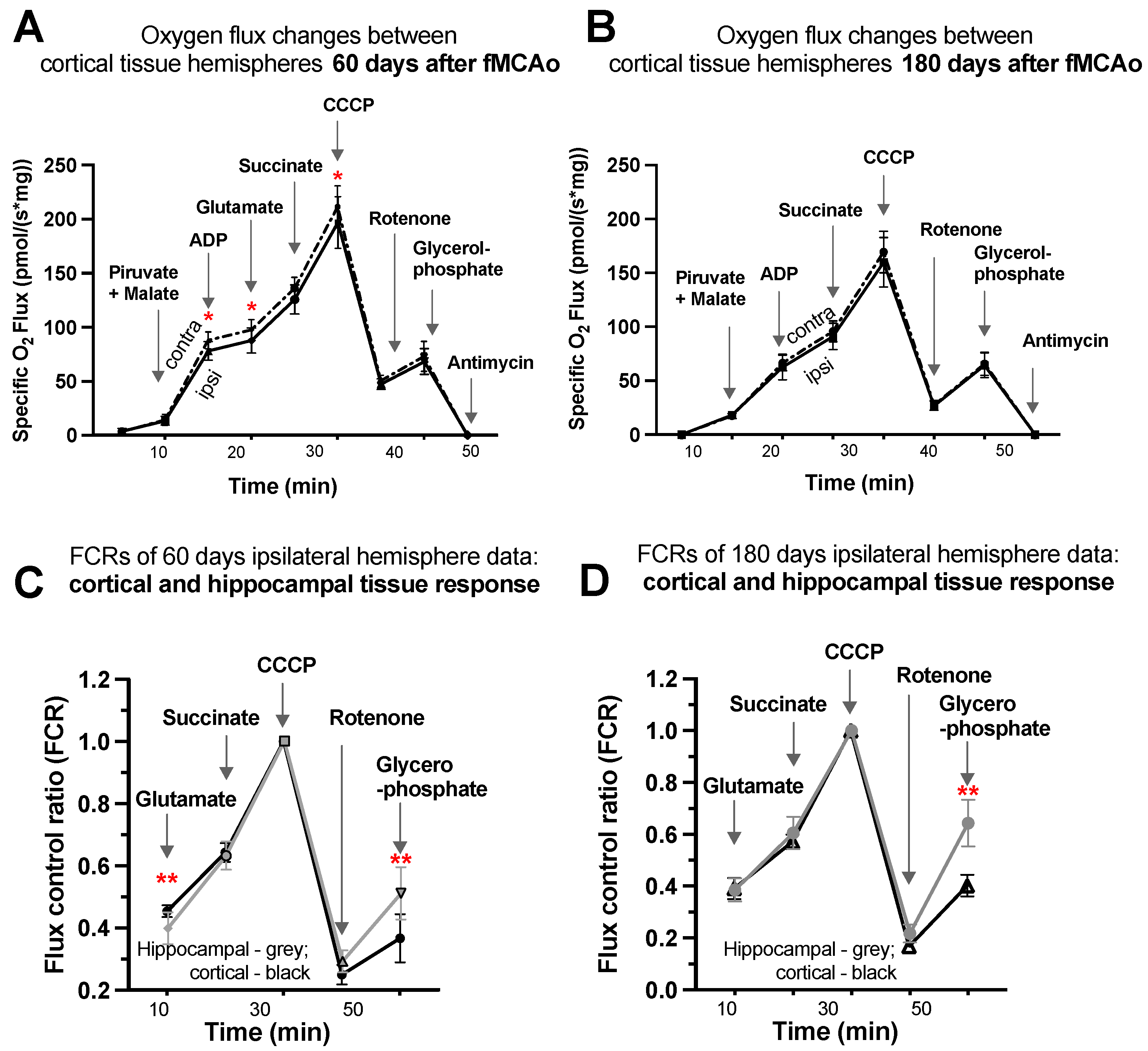 Antioxidants 13 00416 g004