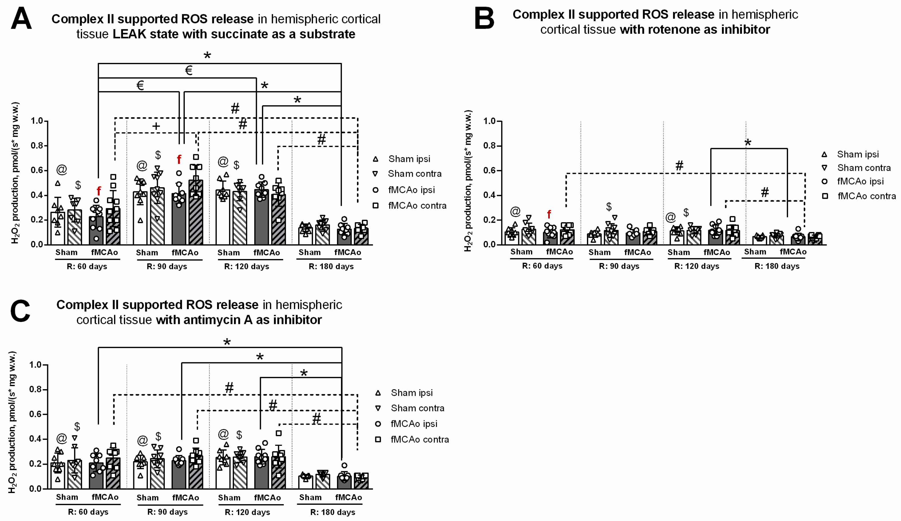 Antioxidants 13 00416 g005