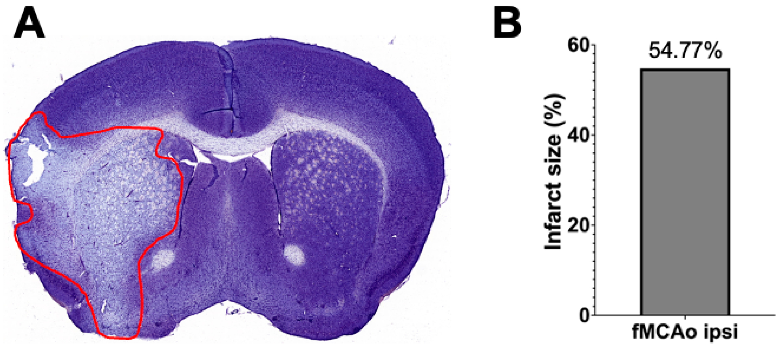 Antioxidants 13 00416 g006