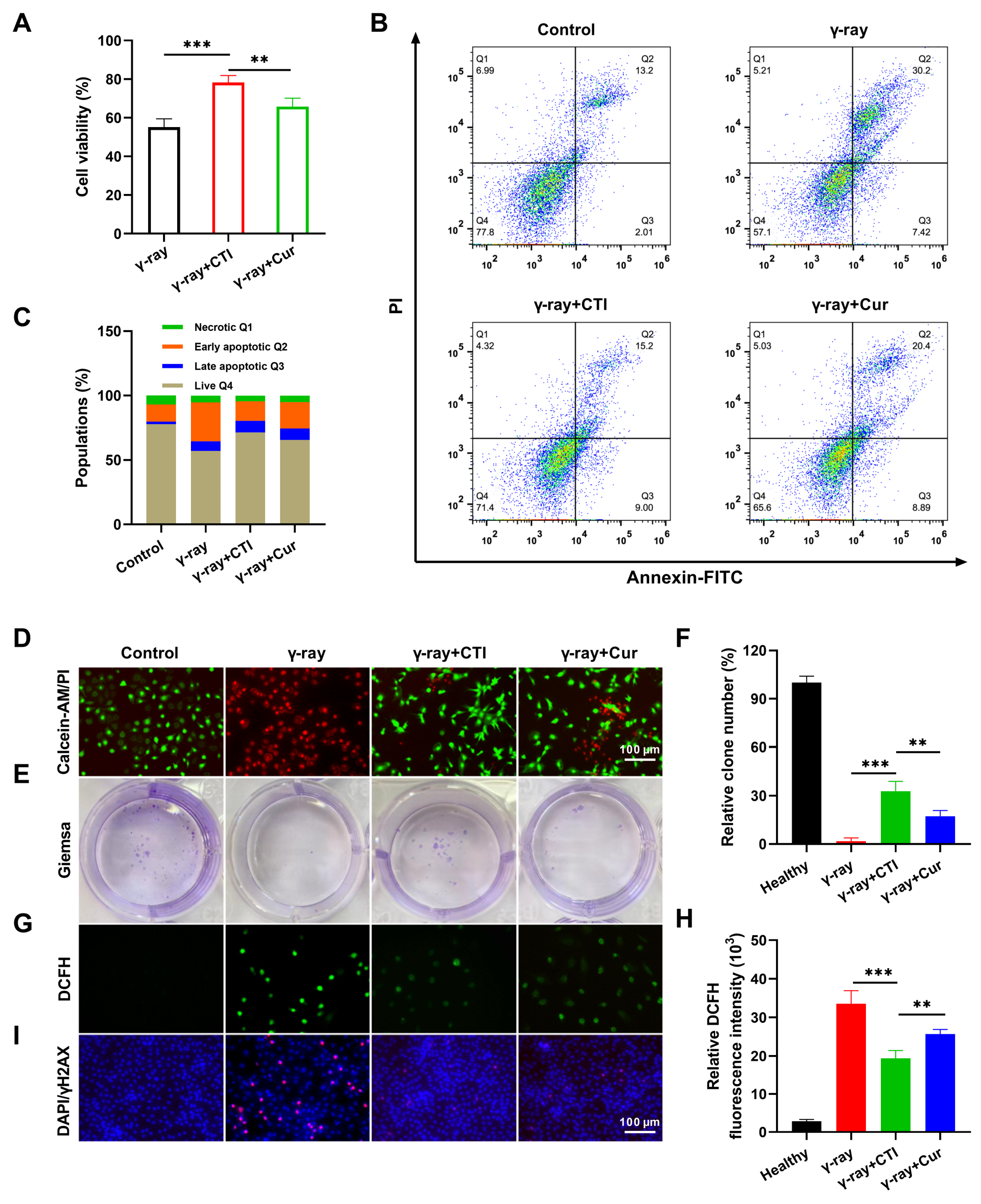 Antioxidants 13 00417 g005