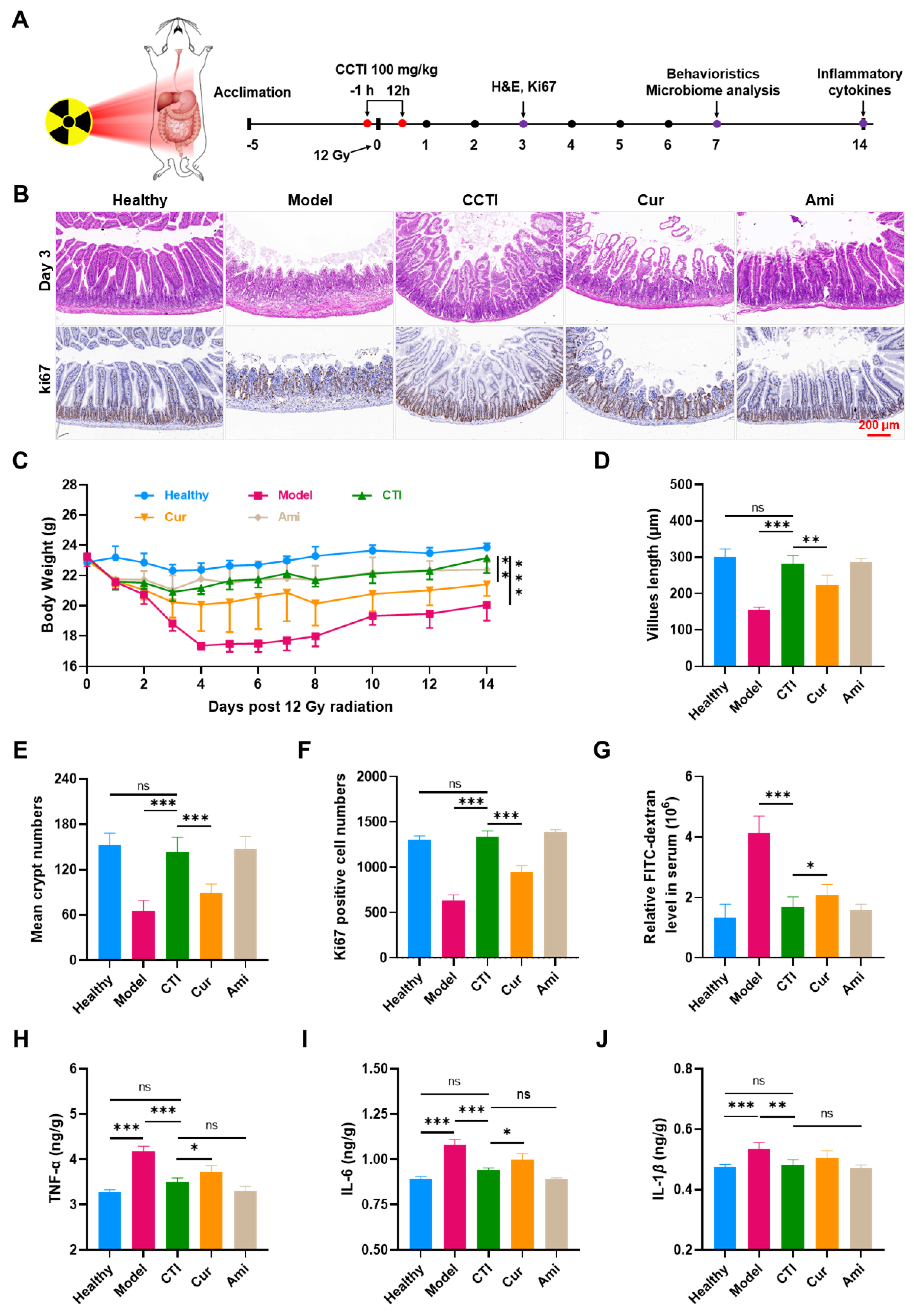 Antioxidants 13 00417 g006