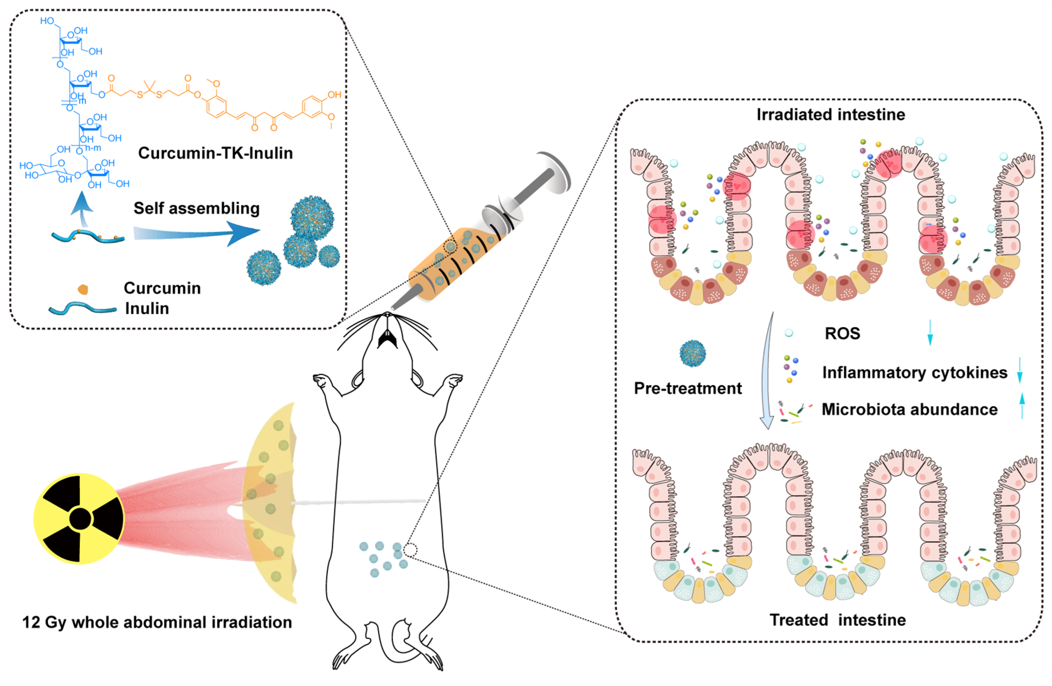 Antioxidants 13 00417 sch001