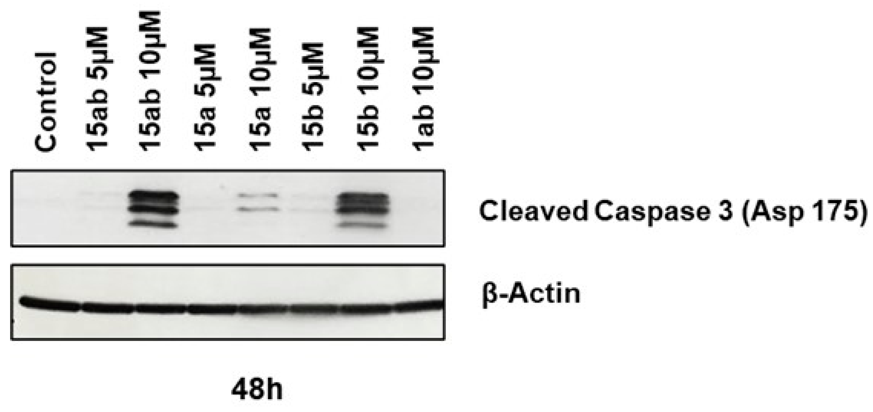 Antioxidants 13 00418 g006