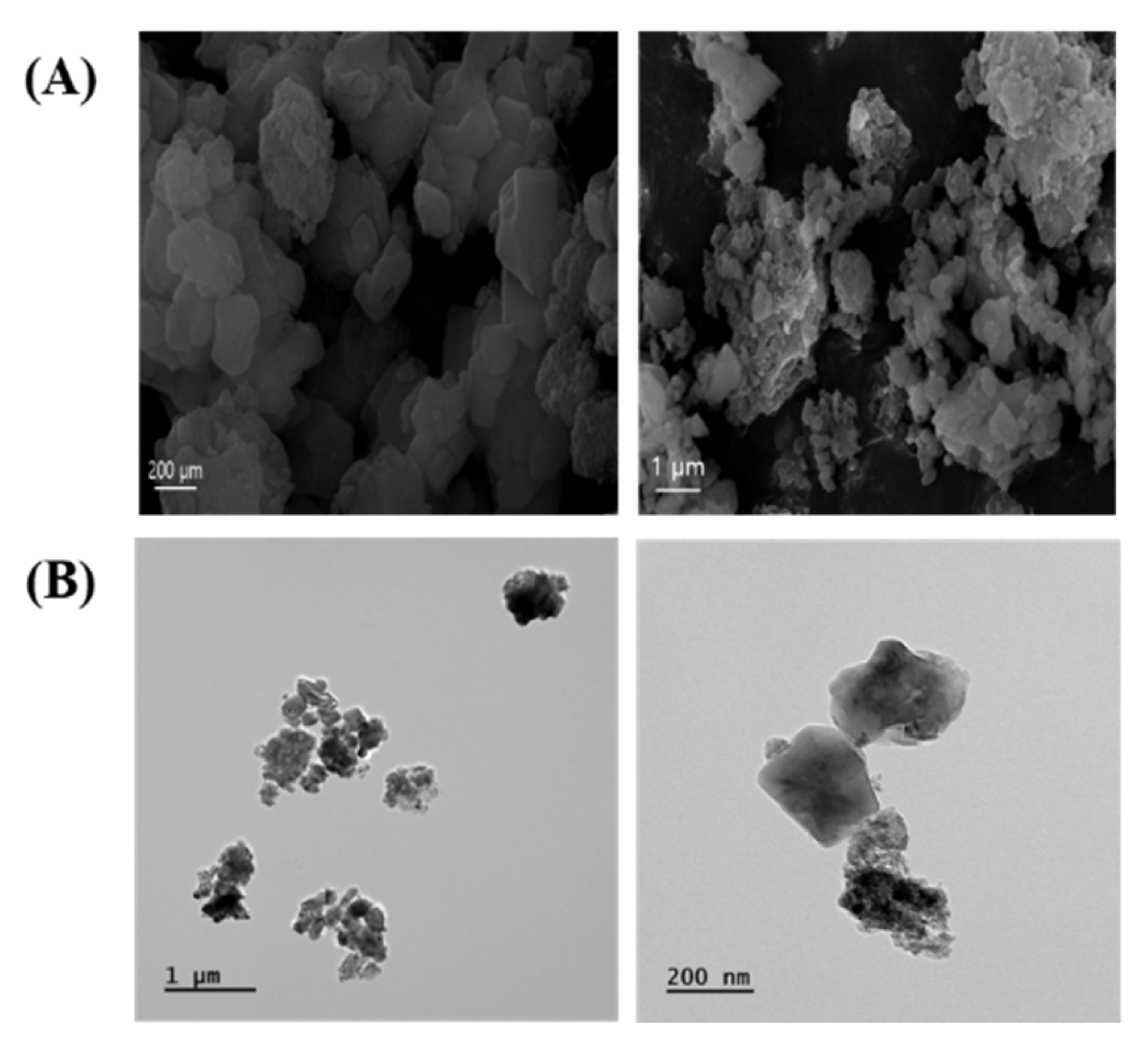 Antioxidants 13 00419 g001