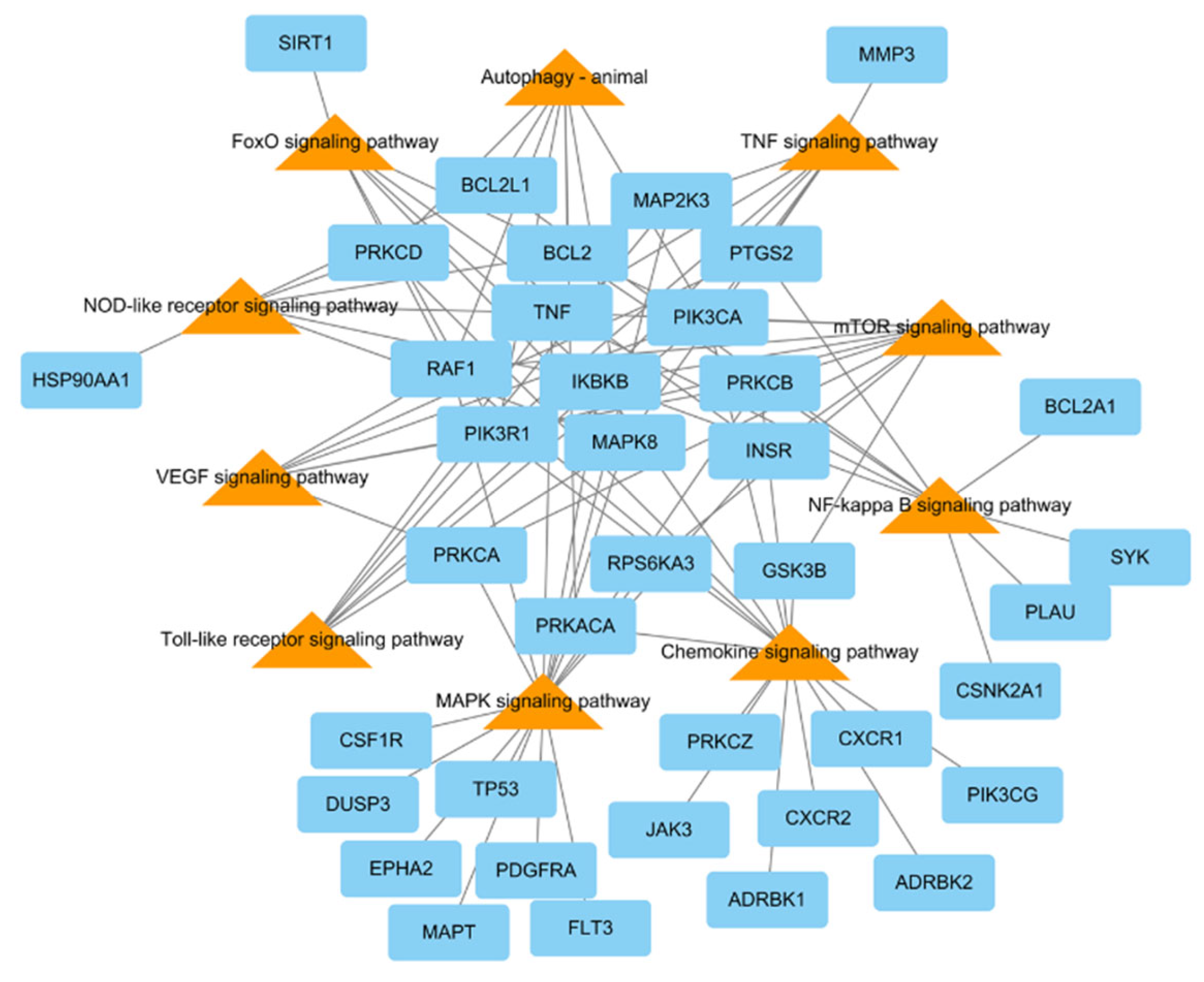 Antioxidants 13 00419 g004