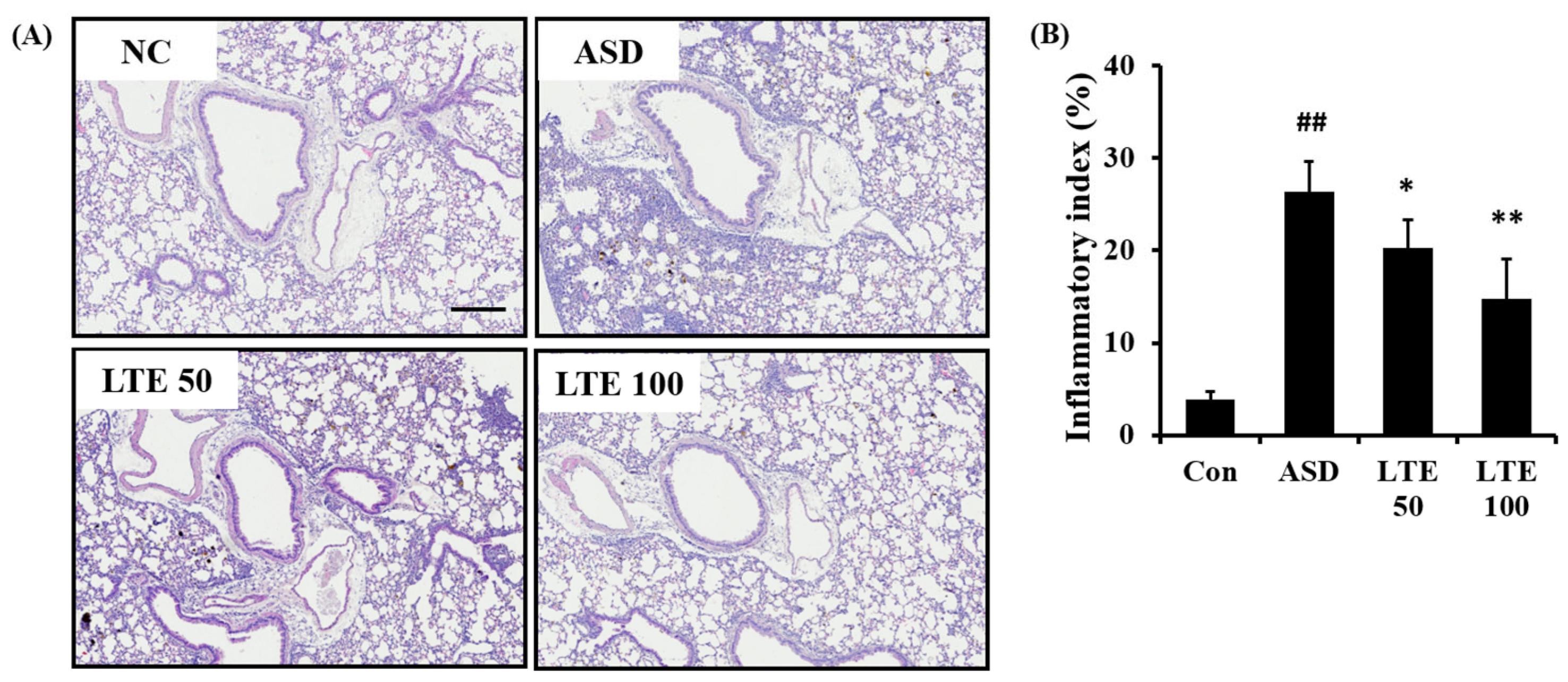 Antioxidants 13 00419 g007