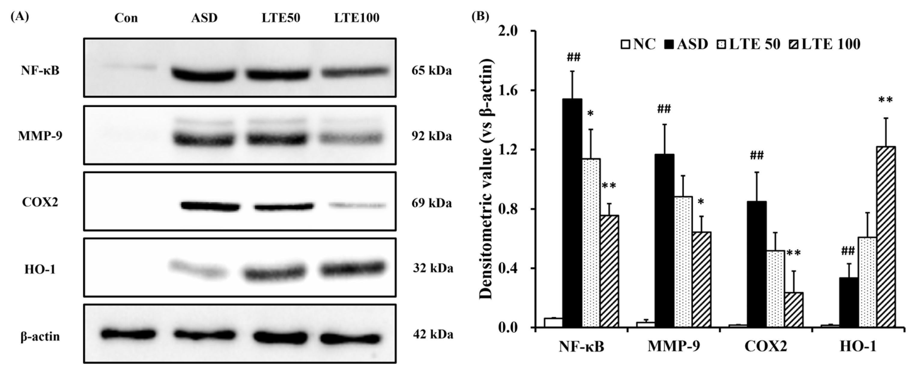 Antioxidants 13 00419 g008
