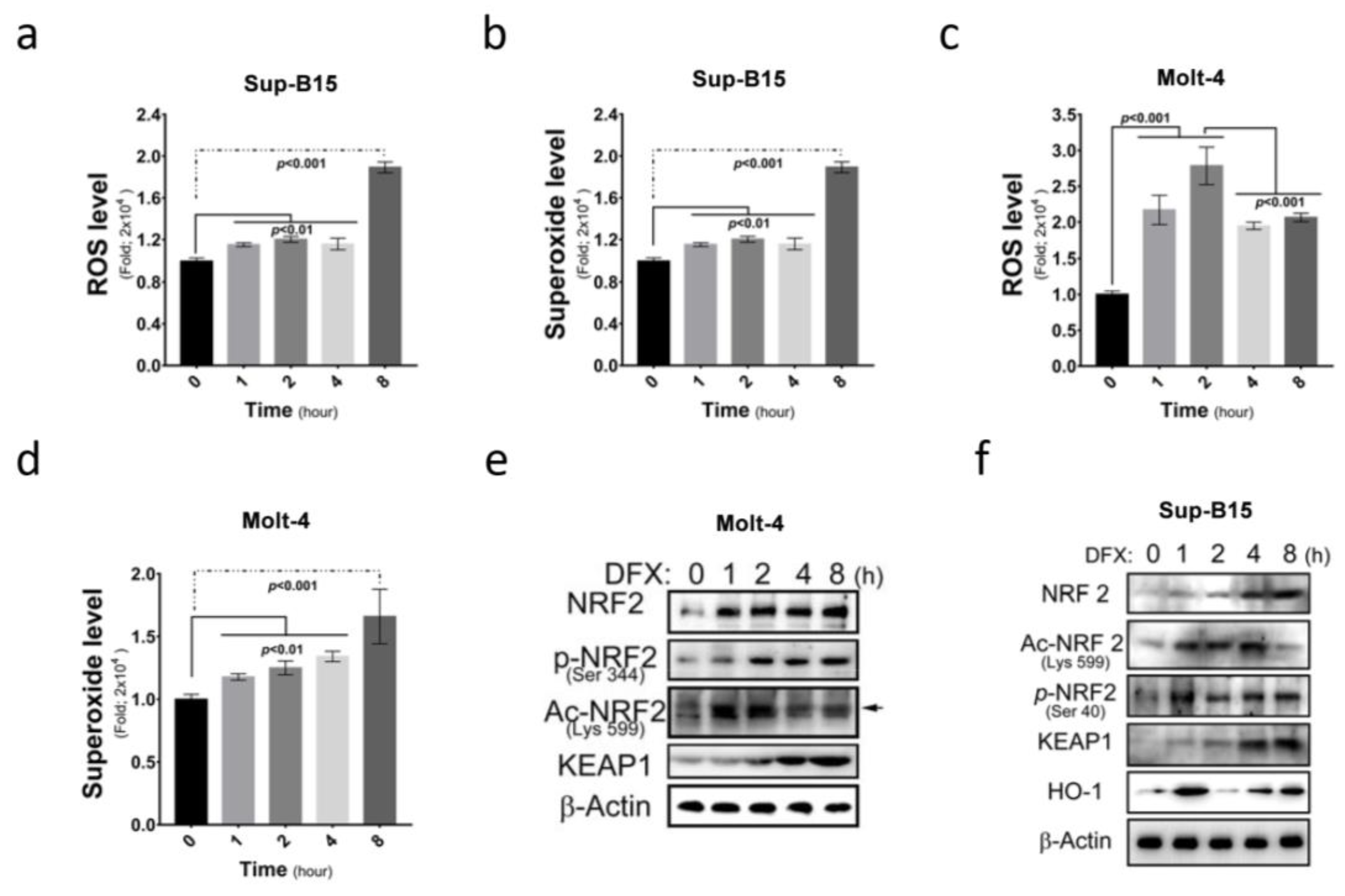 Antioxidants 13 00424 g002