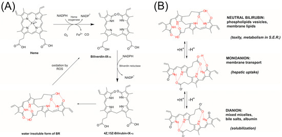 Antioxidants 13 00426 g001