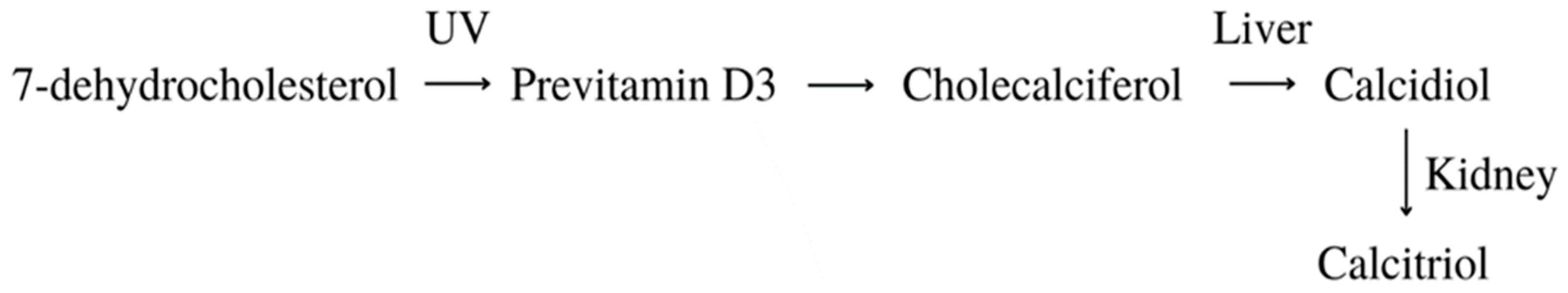 Antioxidants 13 00427 g007