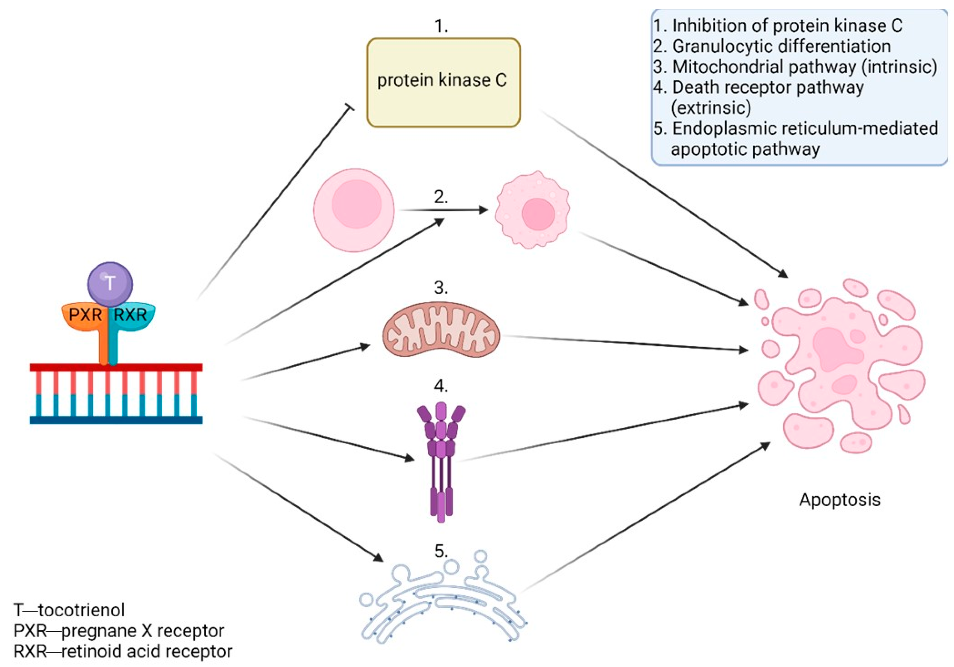 Antioxidants 13 00427 g008