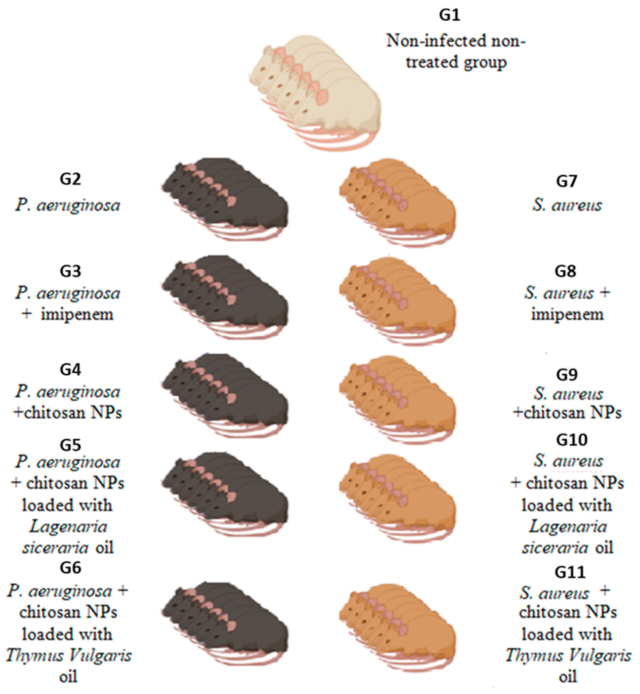 Antioxidants 13 00428 g001