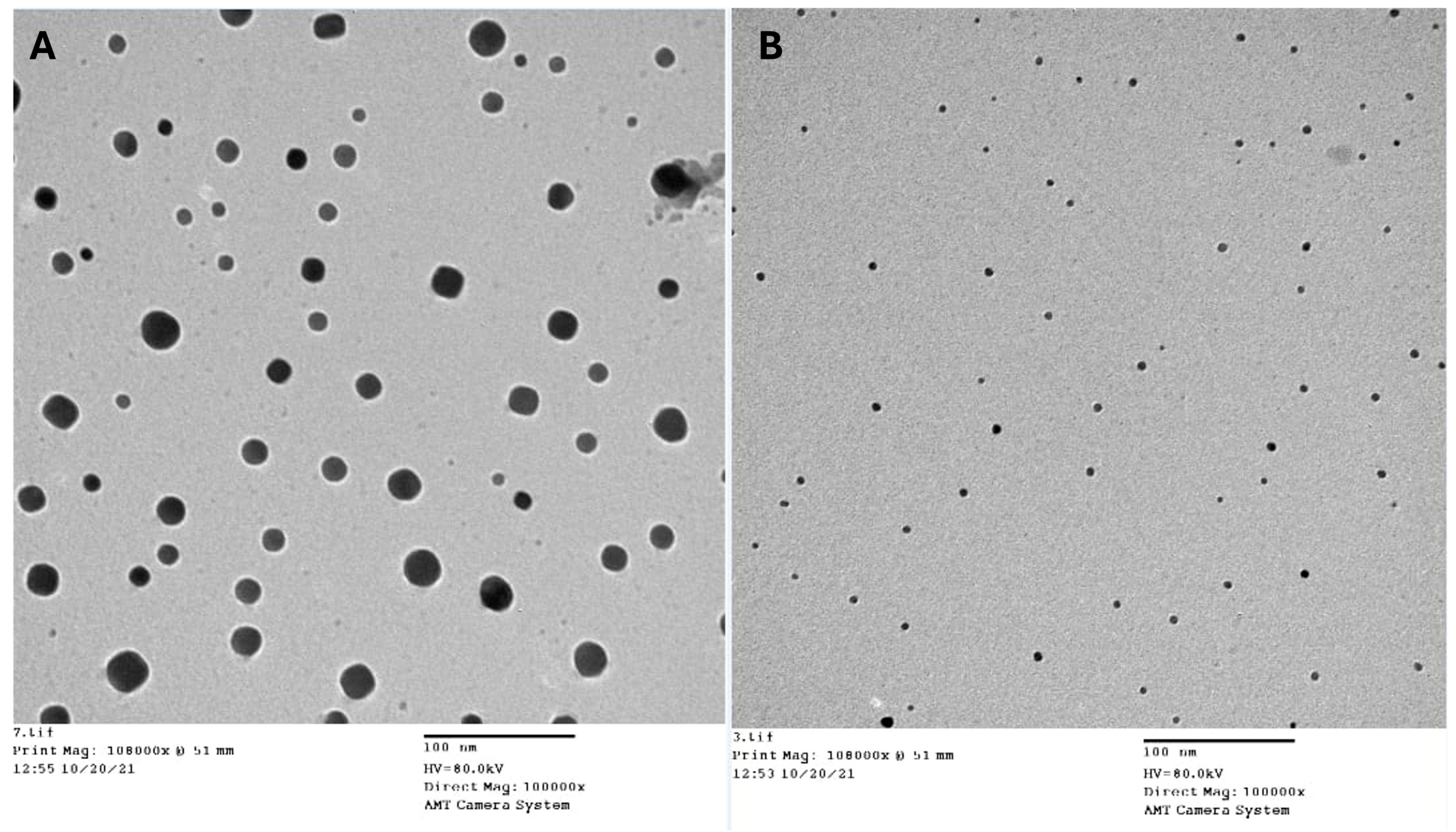 Antioxidants 13 00428 g002